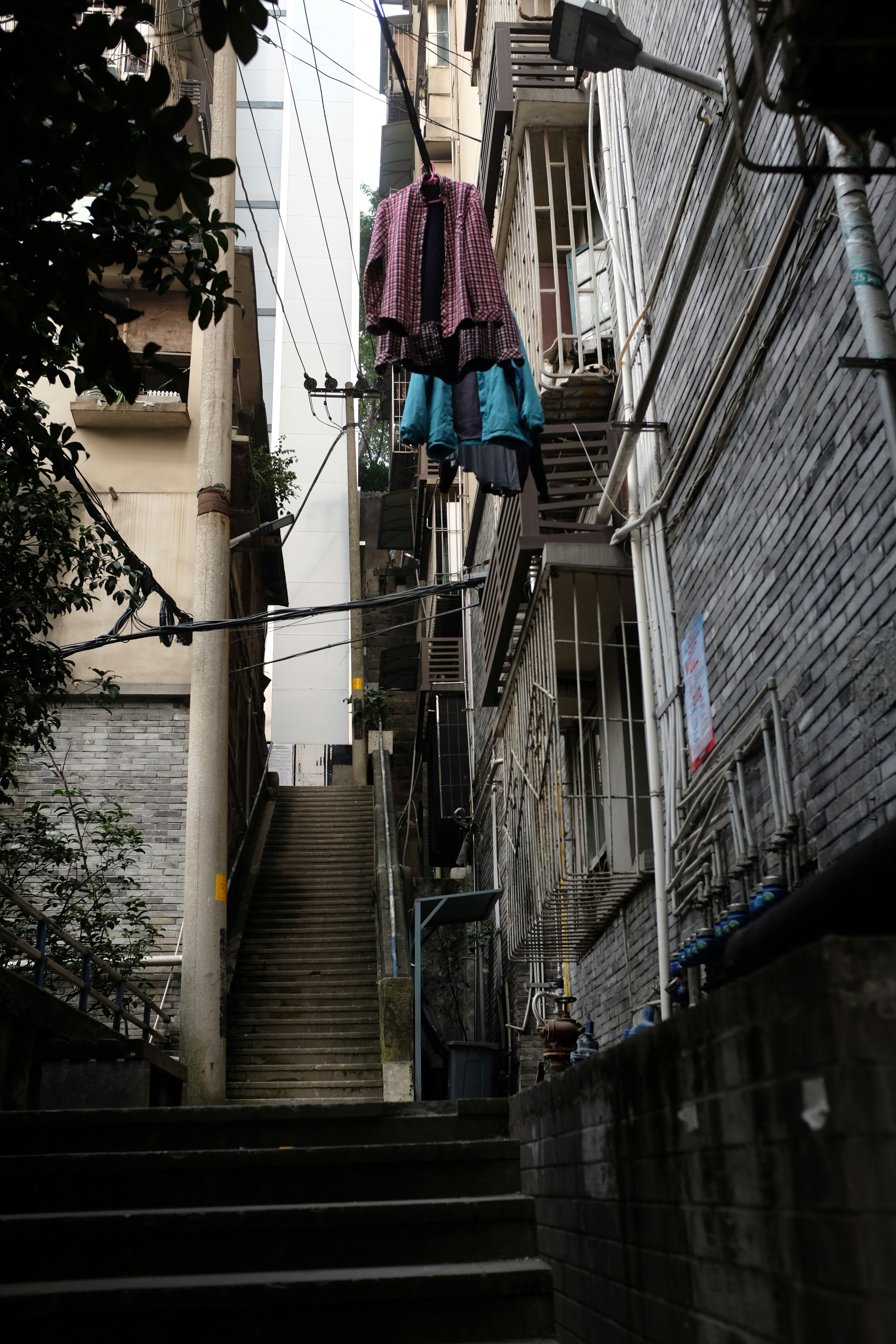 Photo by mclee