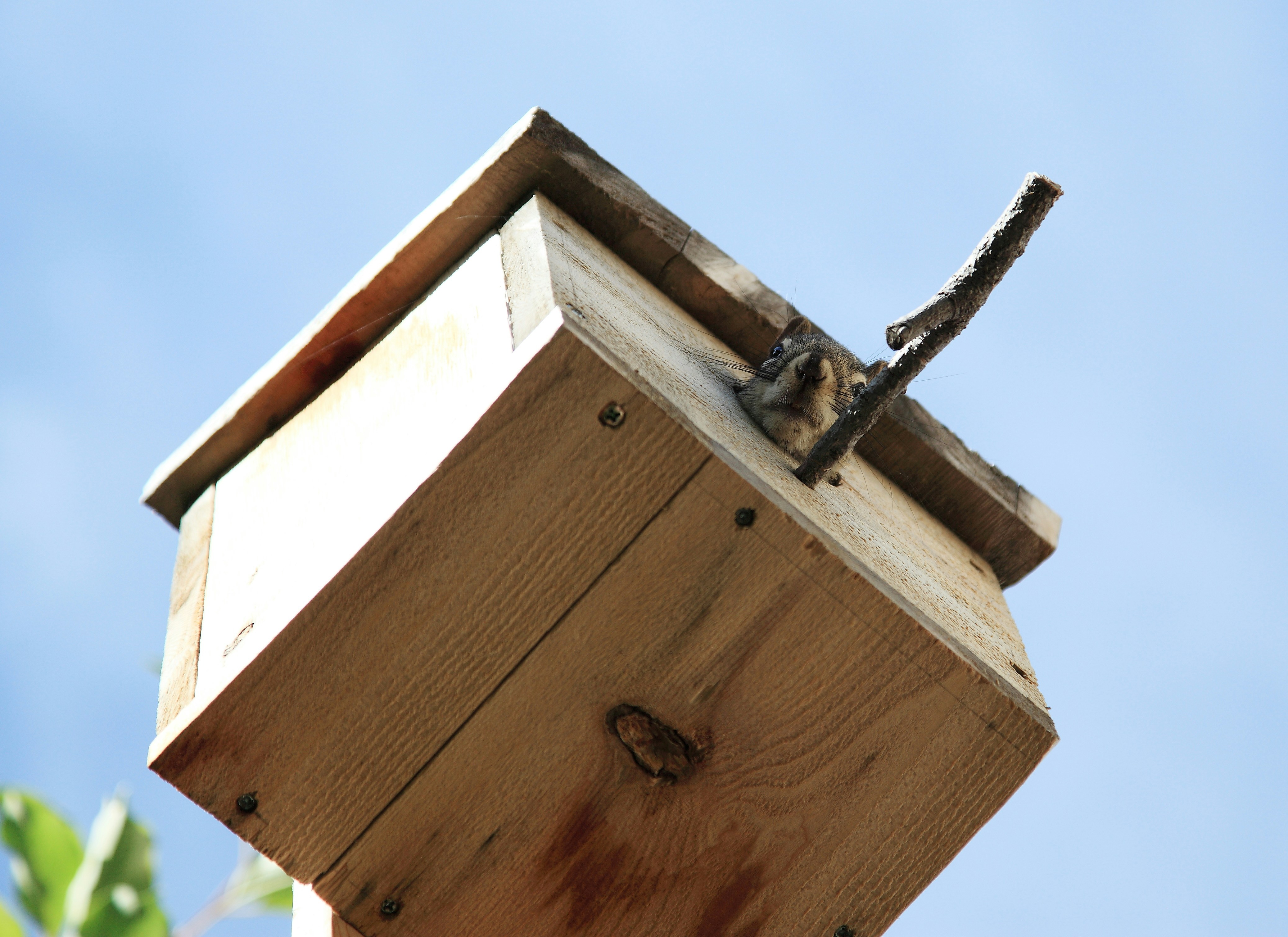 Photo by anna_khromova