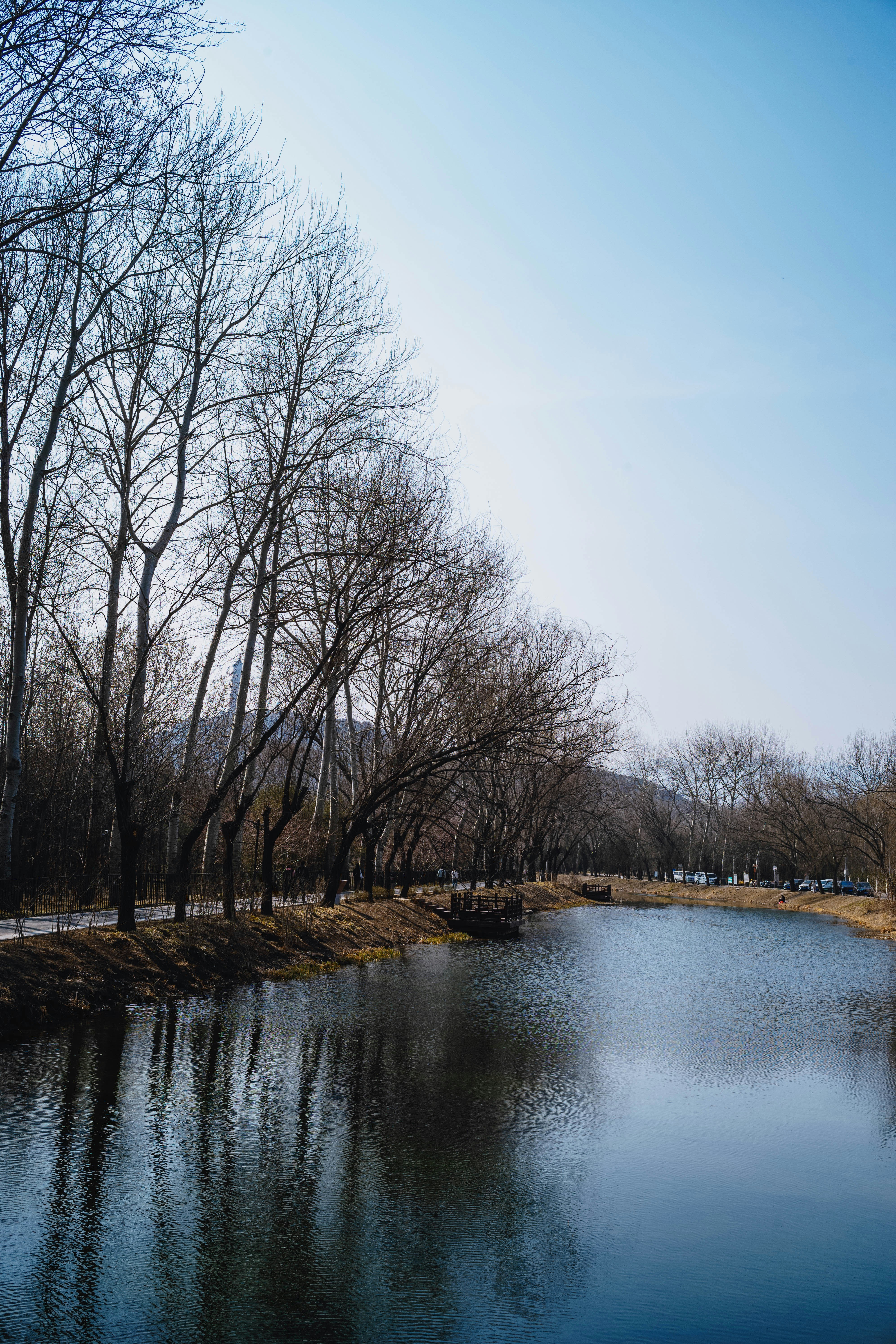 Photo by tommaomaoer