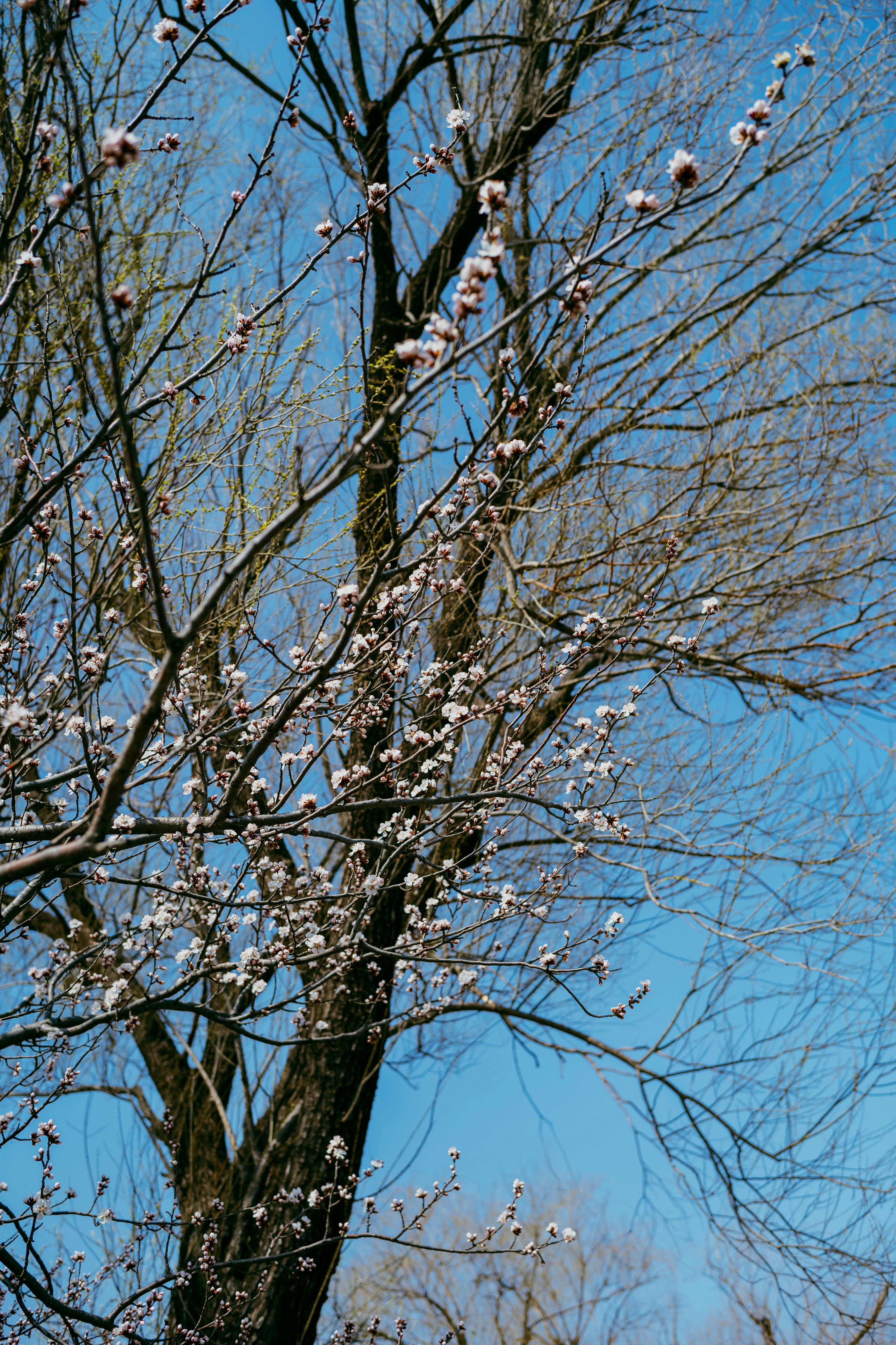 Photo by tommaomaoer