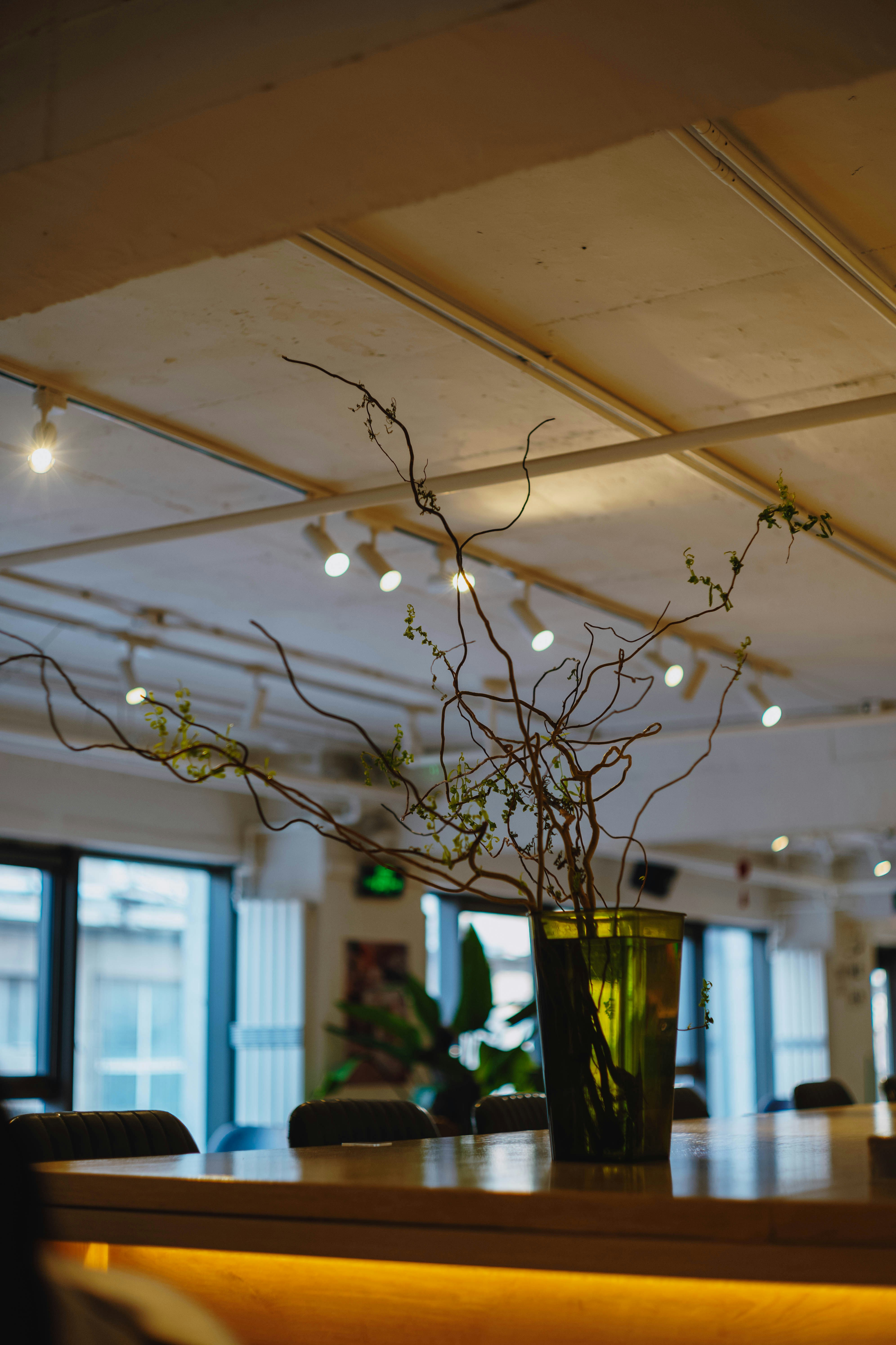 Photo by tommaomaoer