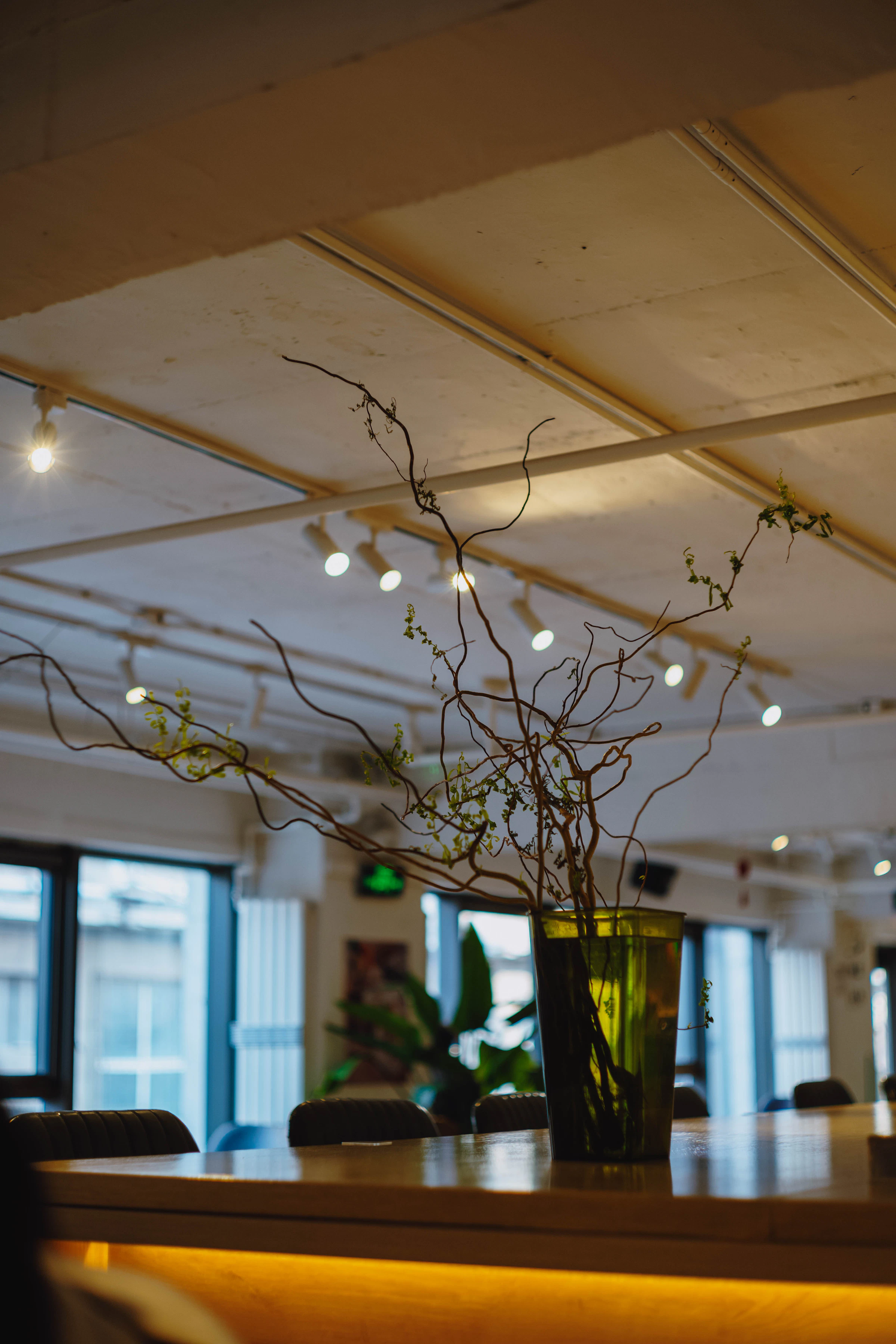 Organic branches arranged in a sculptural vase on a warm wood table in a refined interior