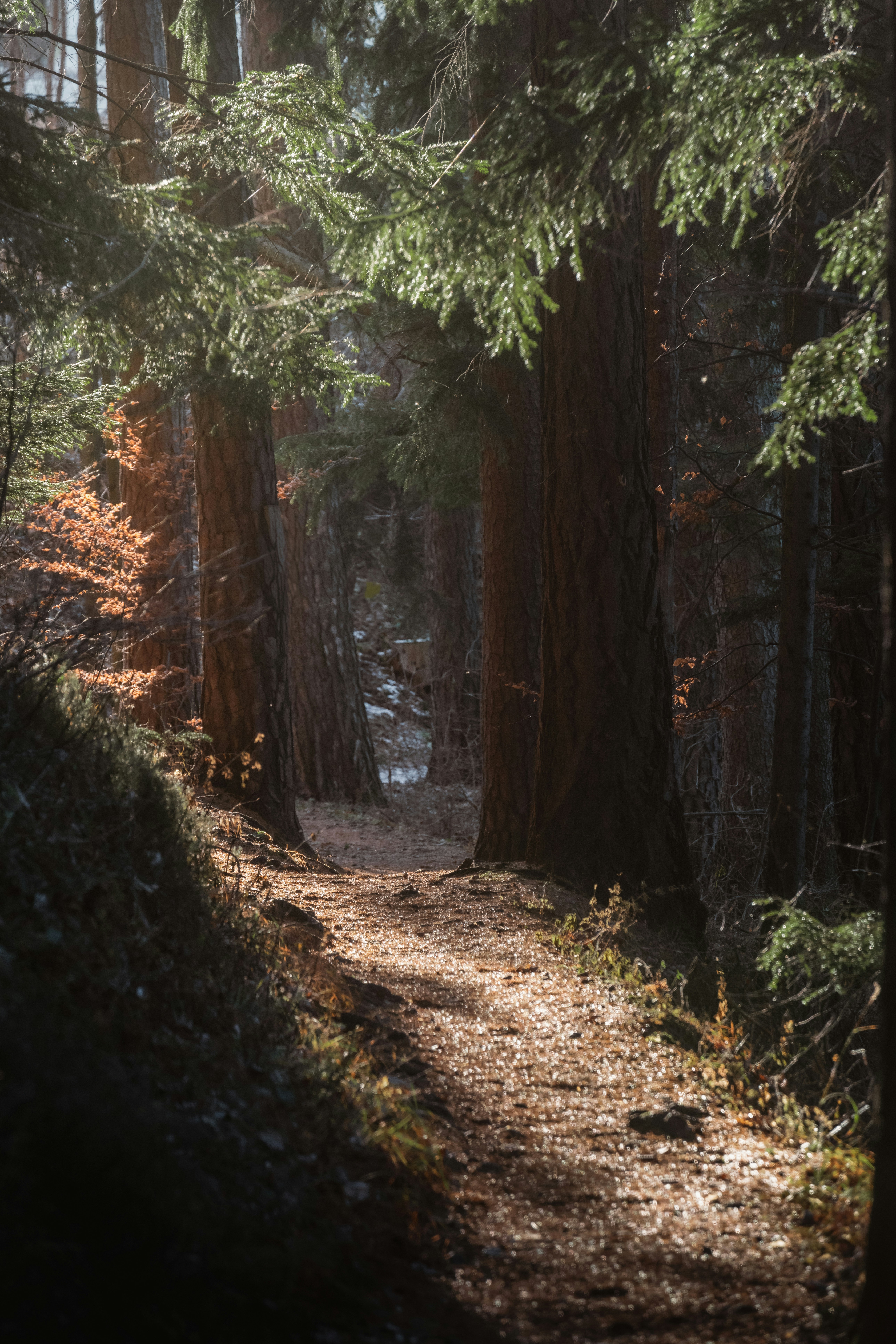 Photo by ahmetyuksek