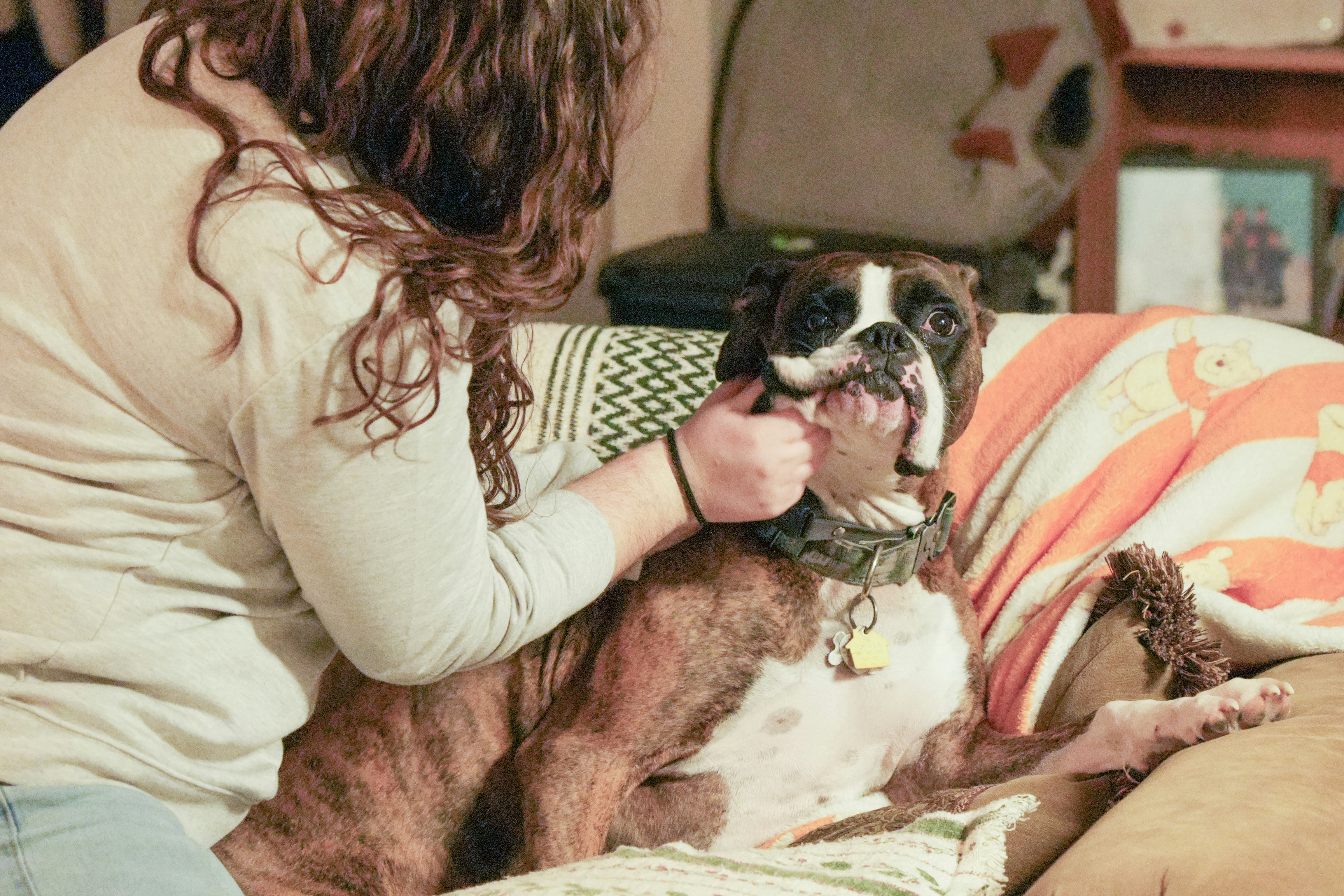 Boxers & Kids: Building Calm, Safe, and Joyful Family Moments 🐾
