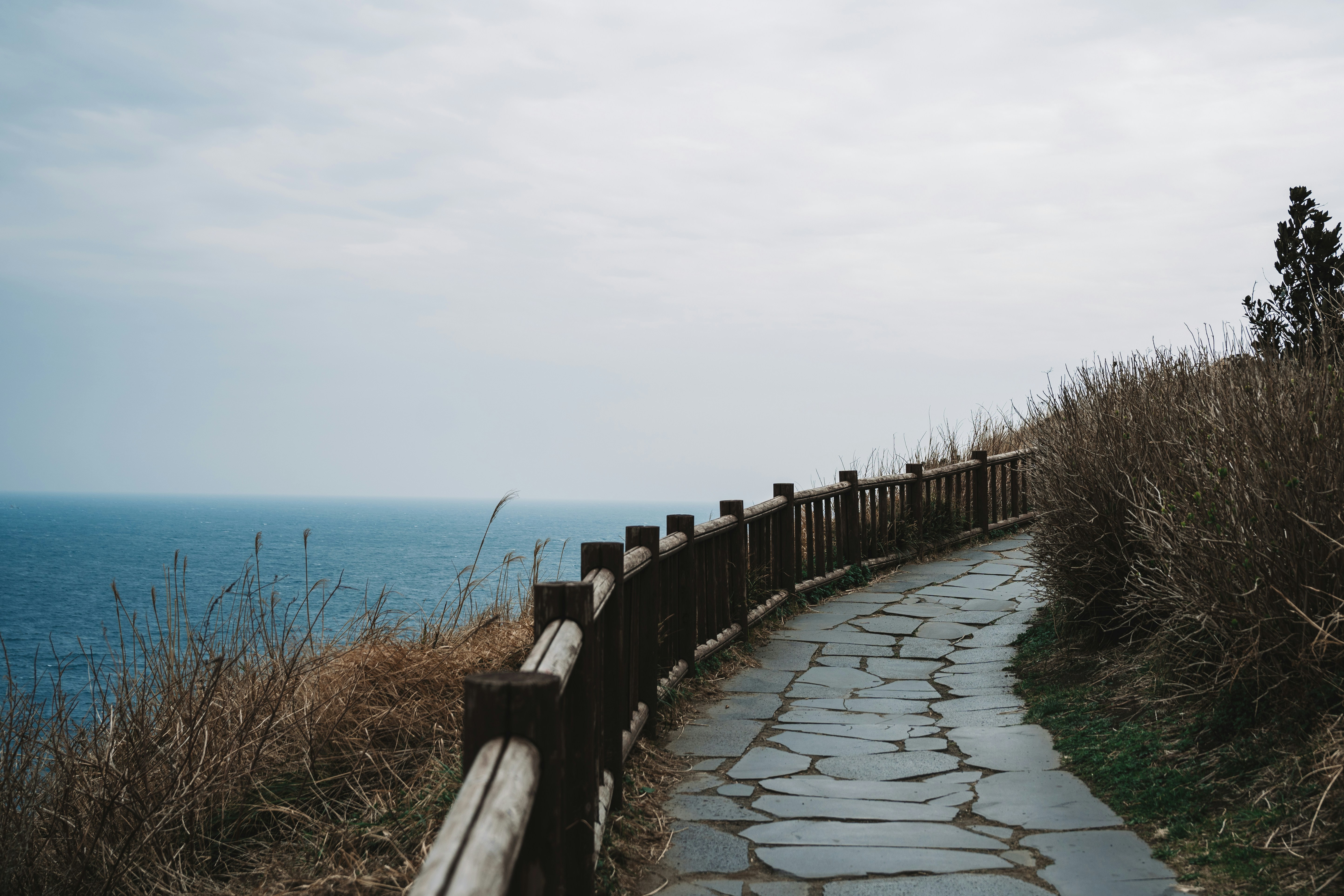Un chemin de pierre le long d’une clôture en bois au bord de l’océan.
