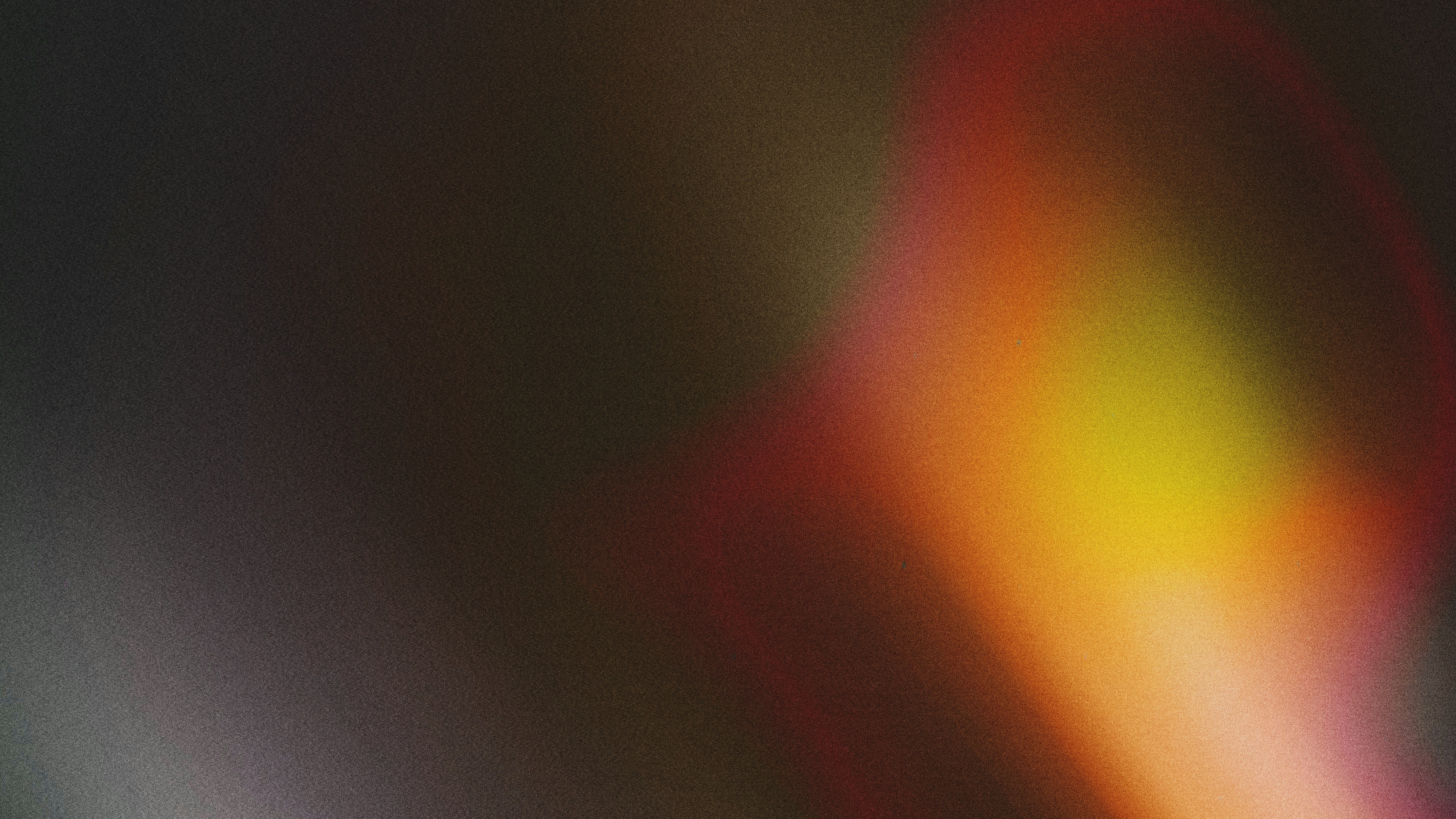 Photo by universtock