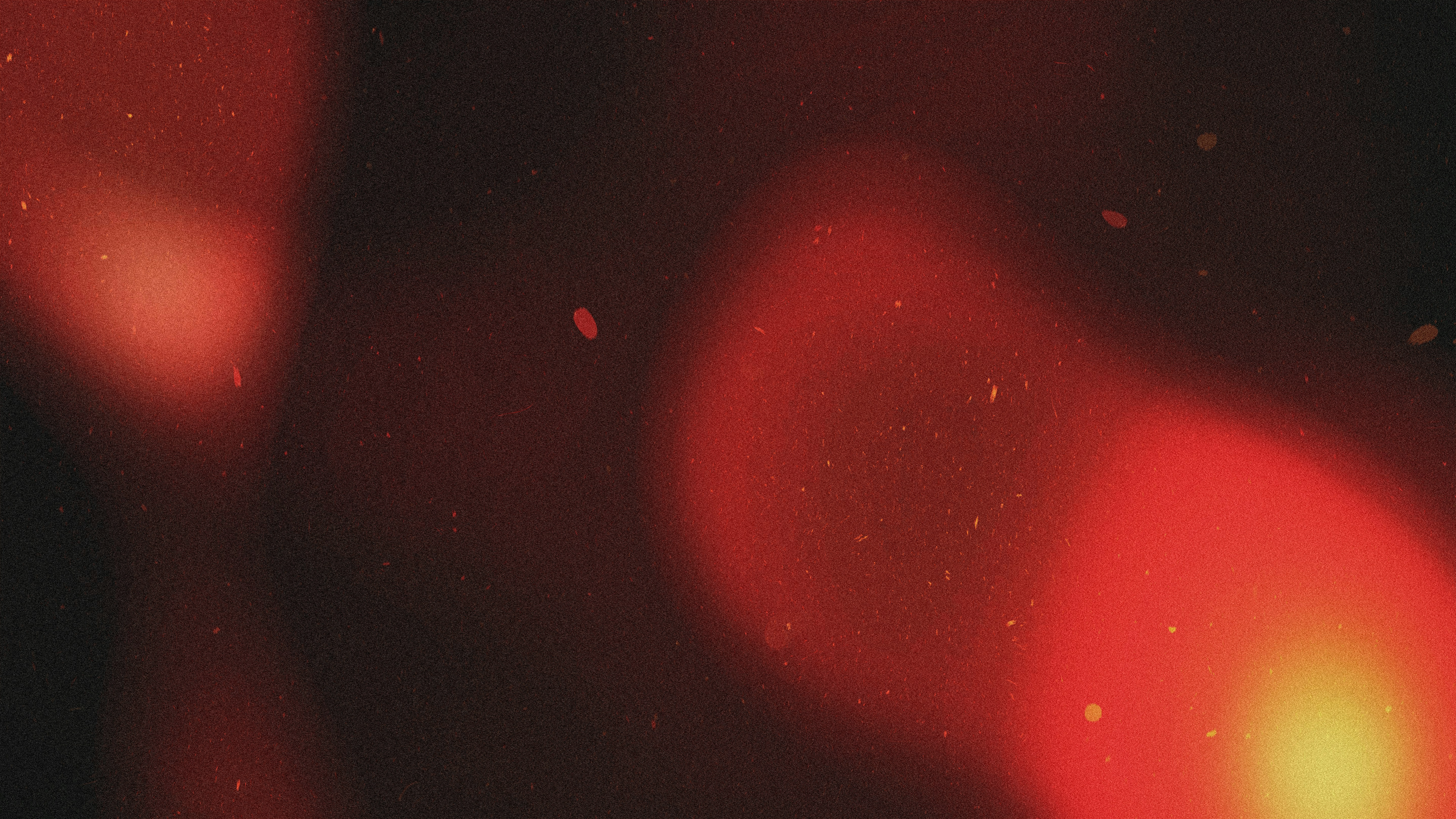 Photo by universtock