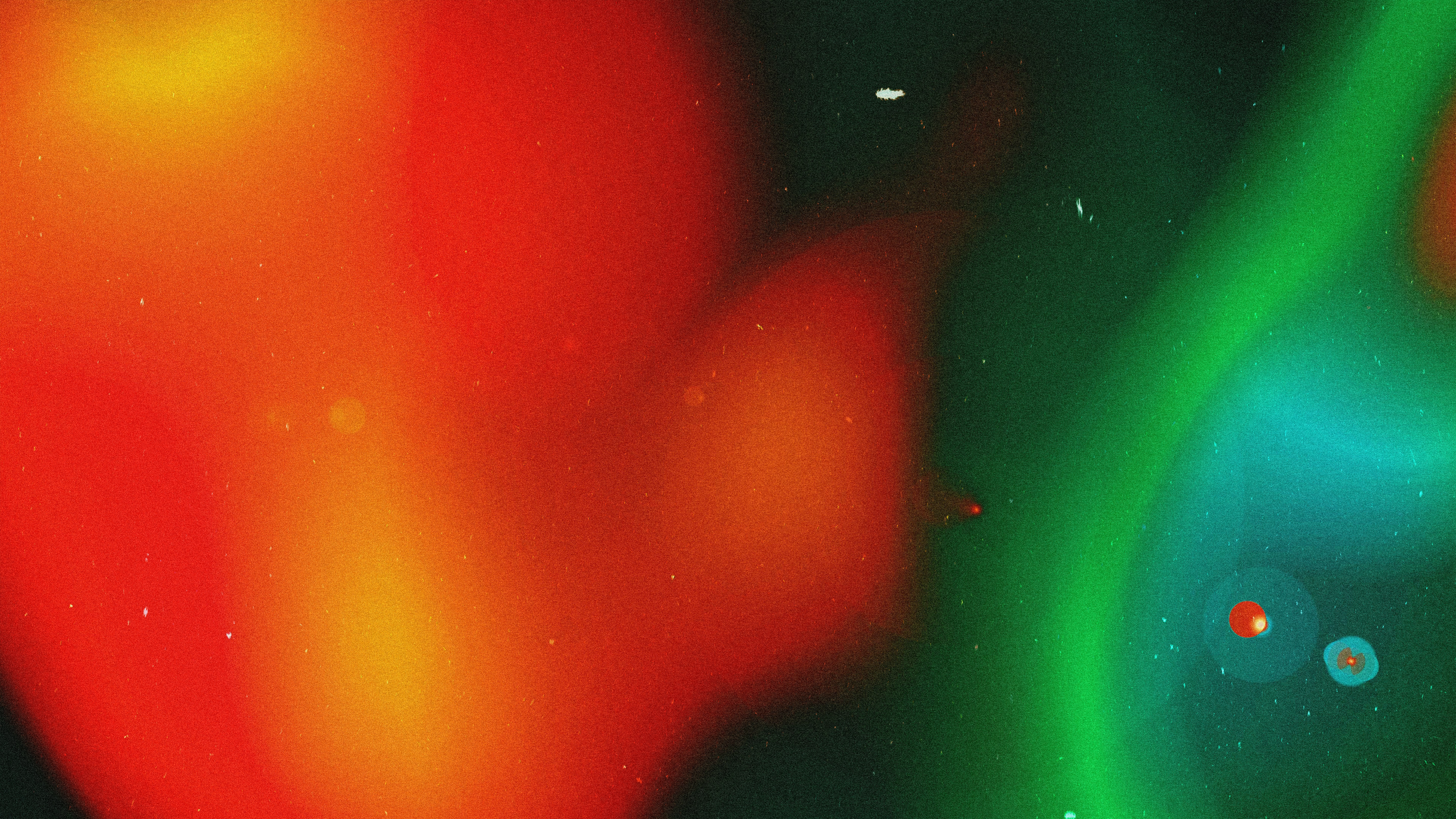 Photo by universtock