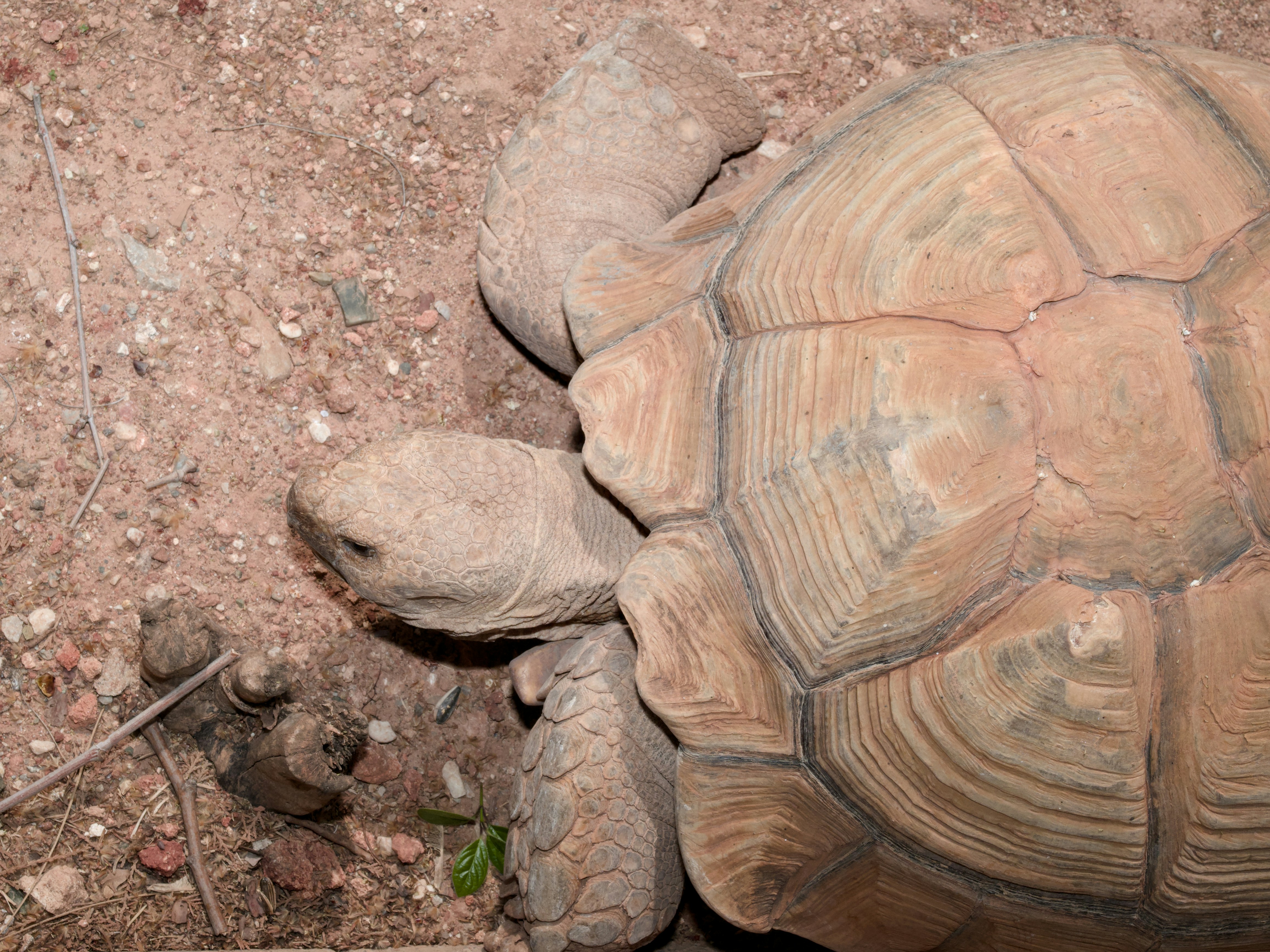 Photo by enginakyurt