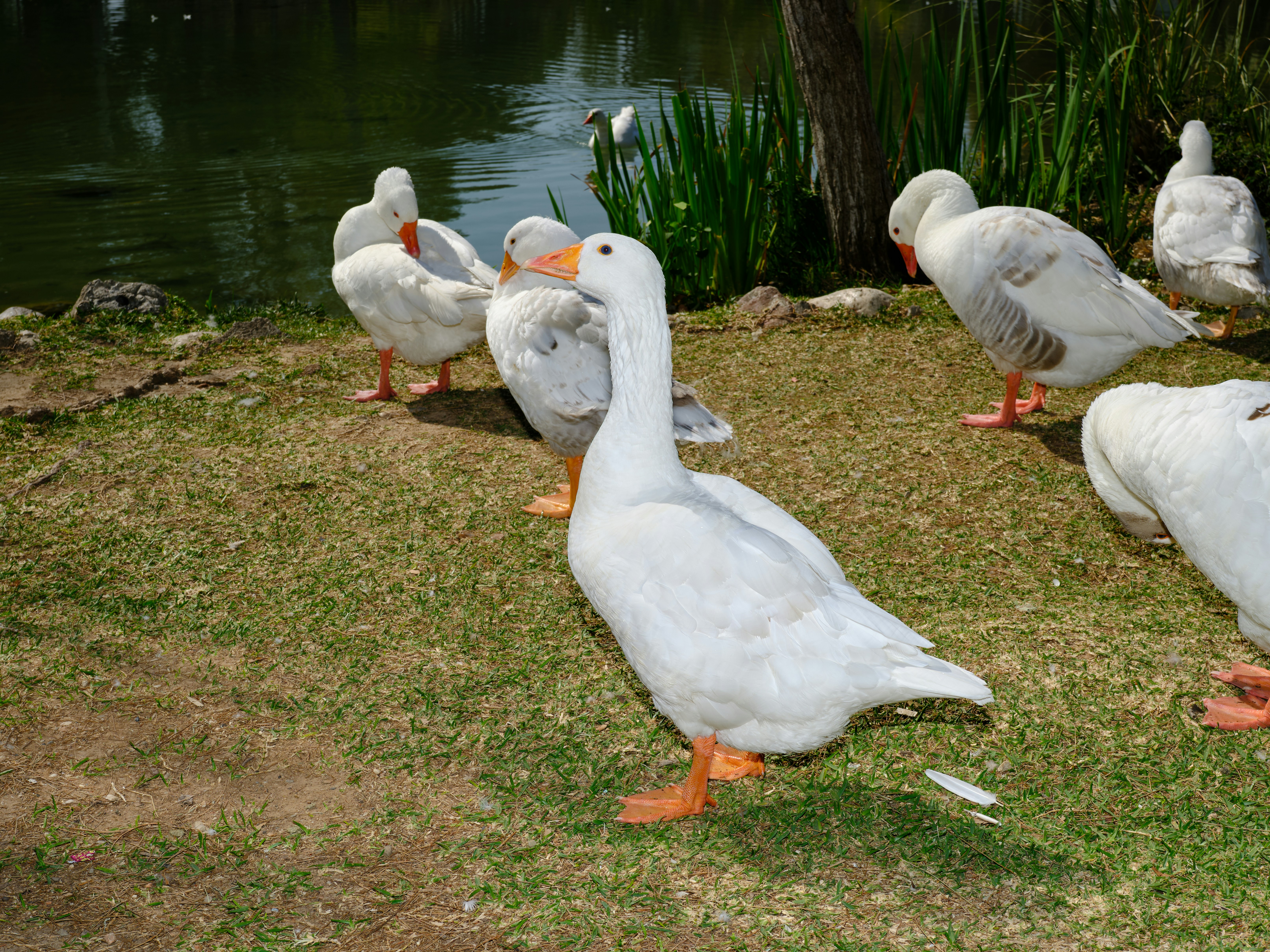 Photo by enginakyurt