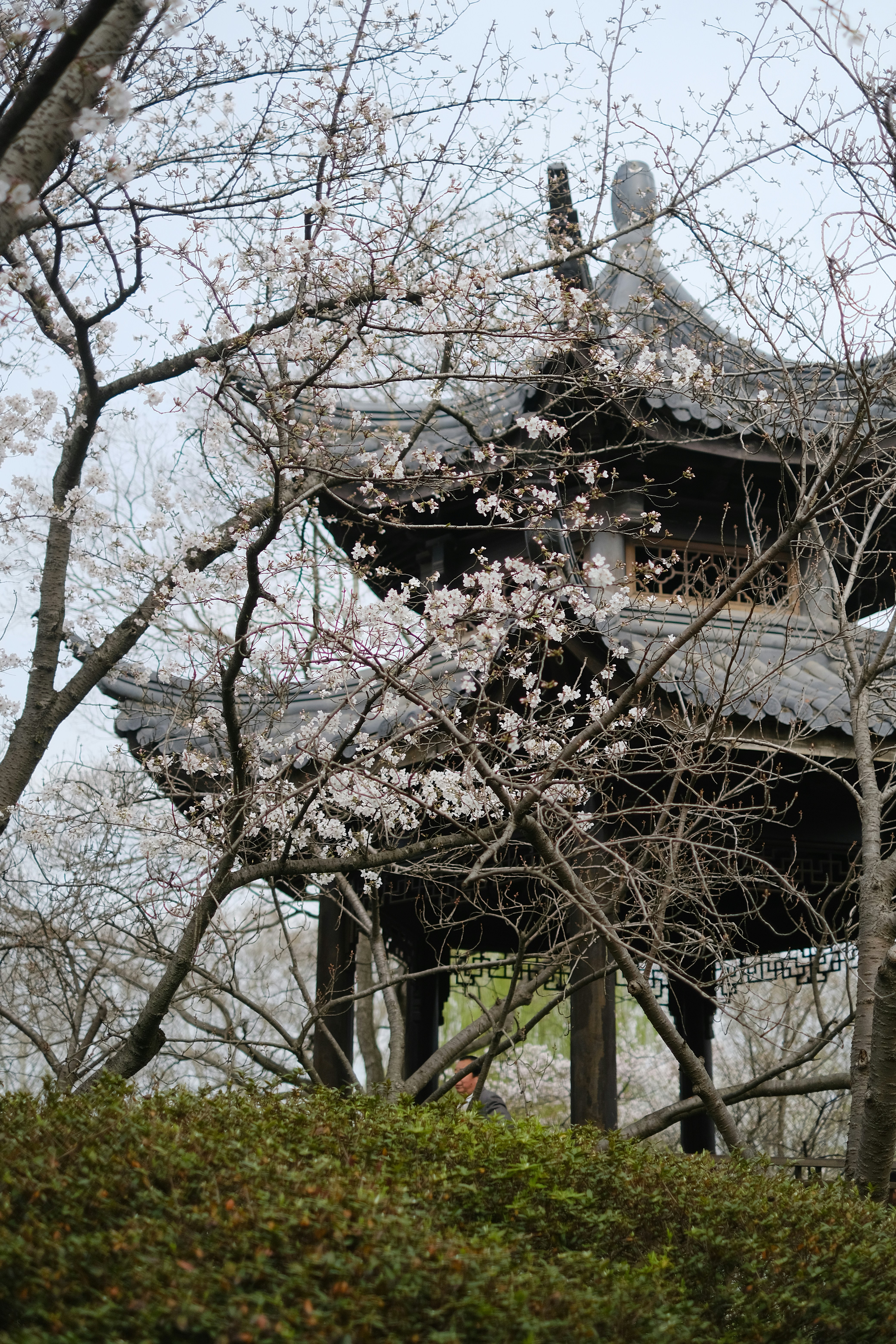 Photo by tnphanle