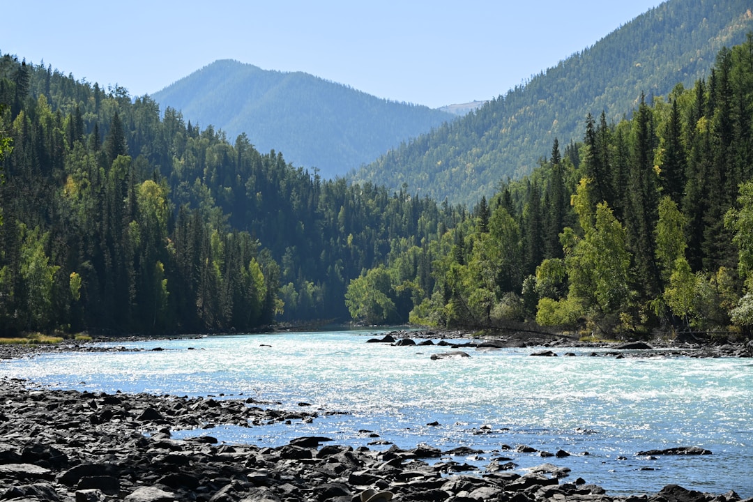 Mountain forest and river landscape in Northeast China