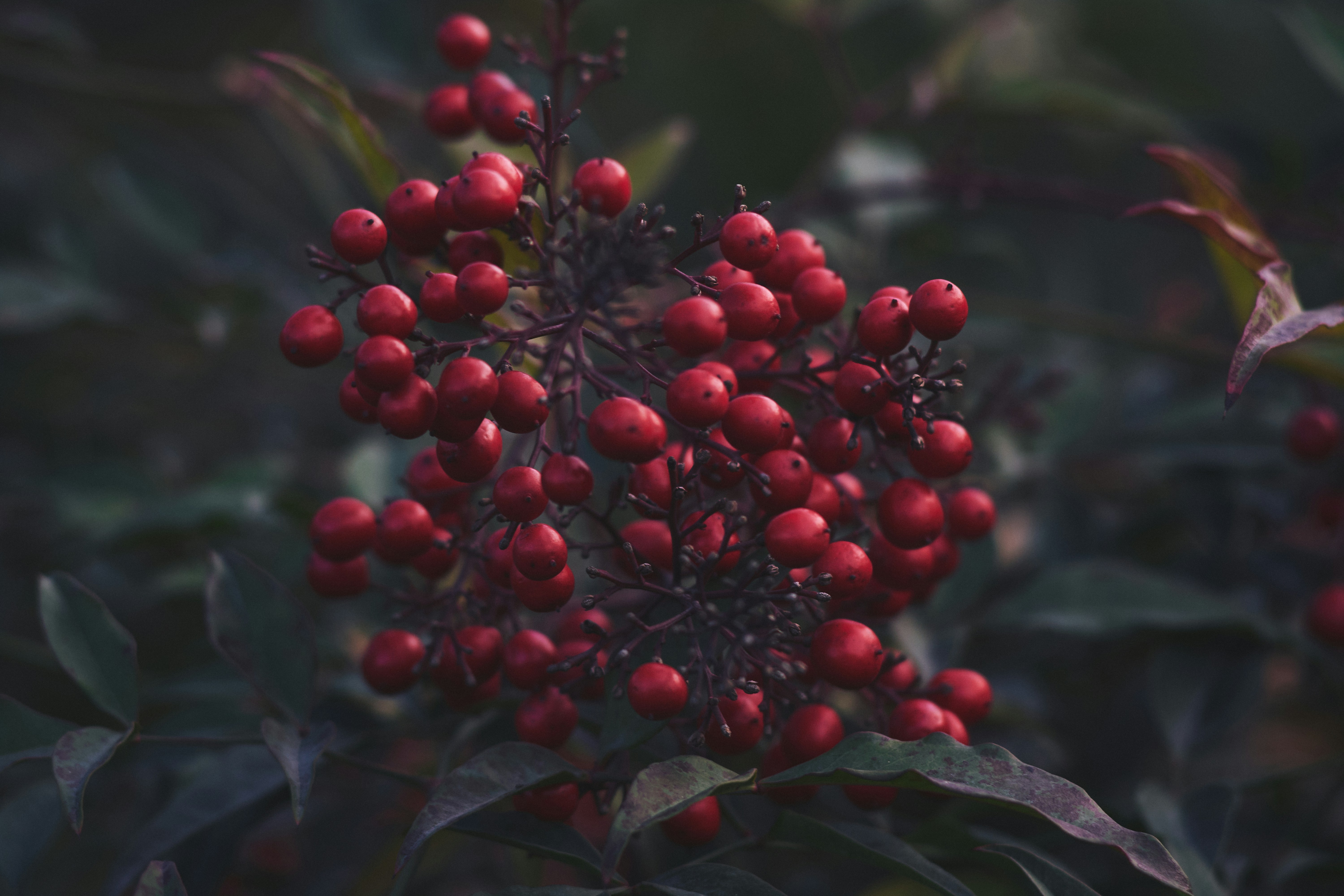 Photo by mikhailrepin