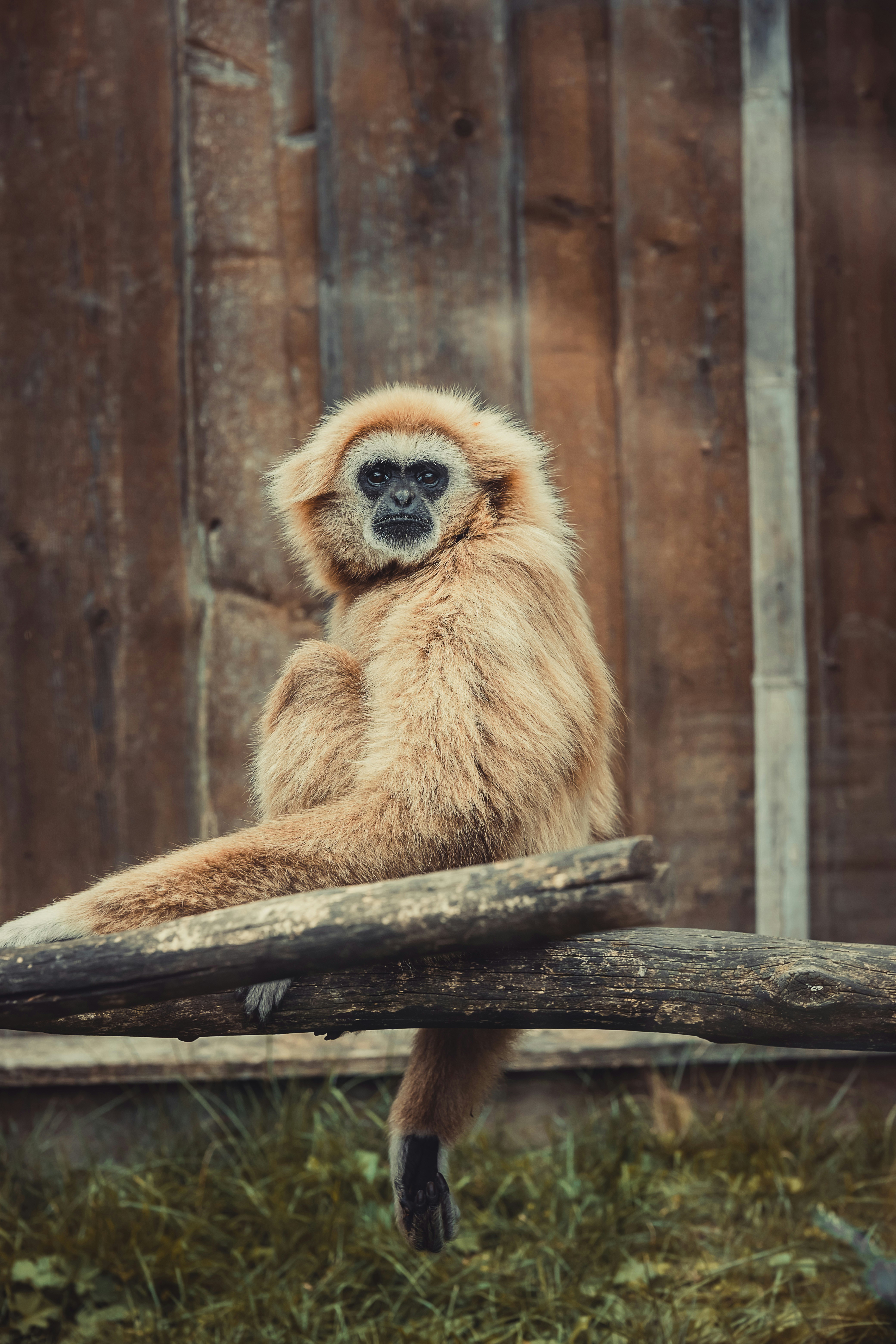 Photo by lukasparnican