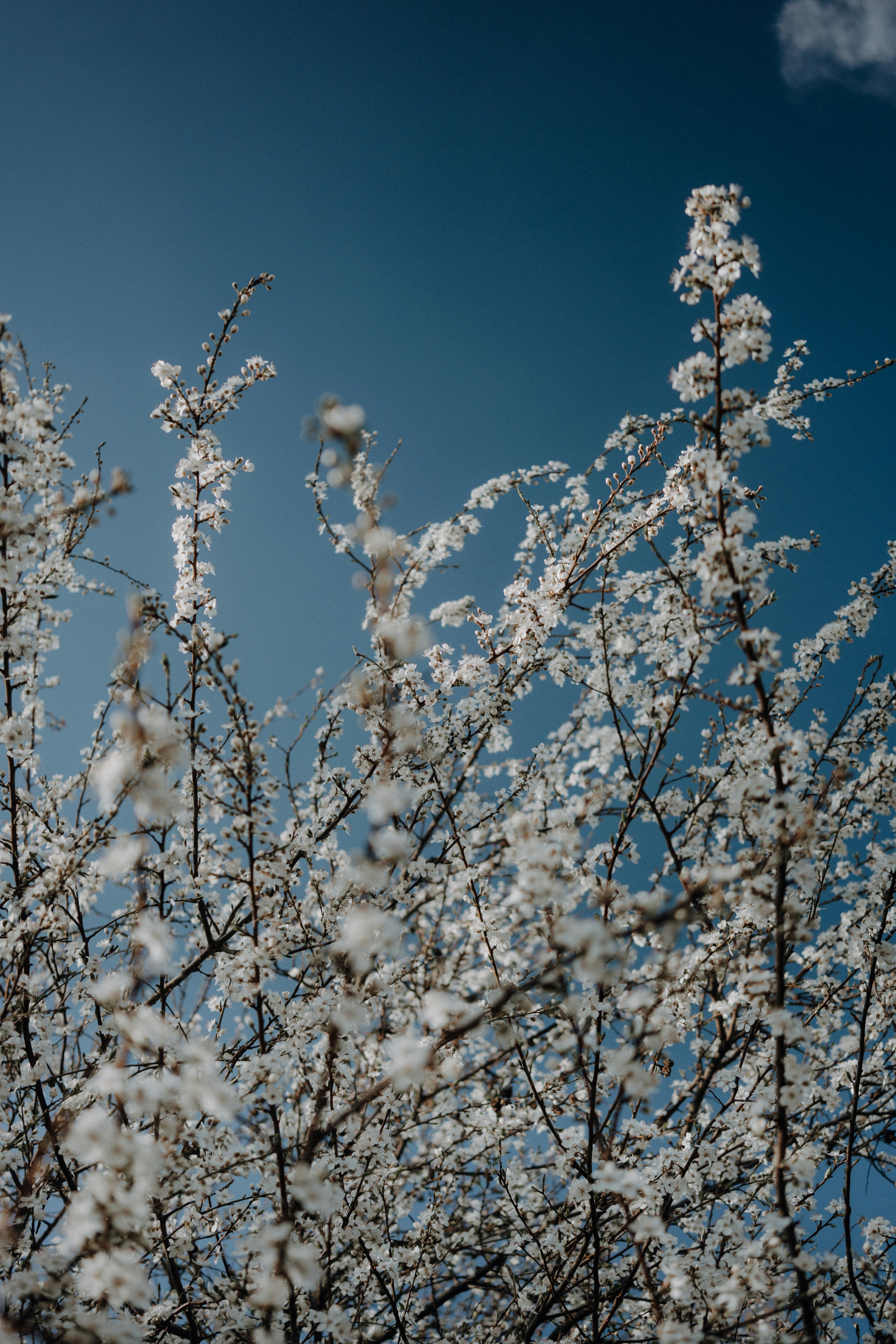 Photo by marinareich