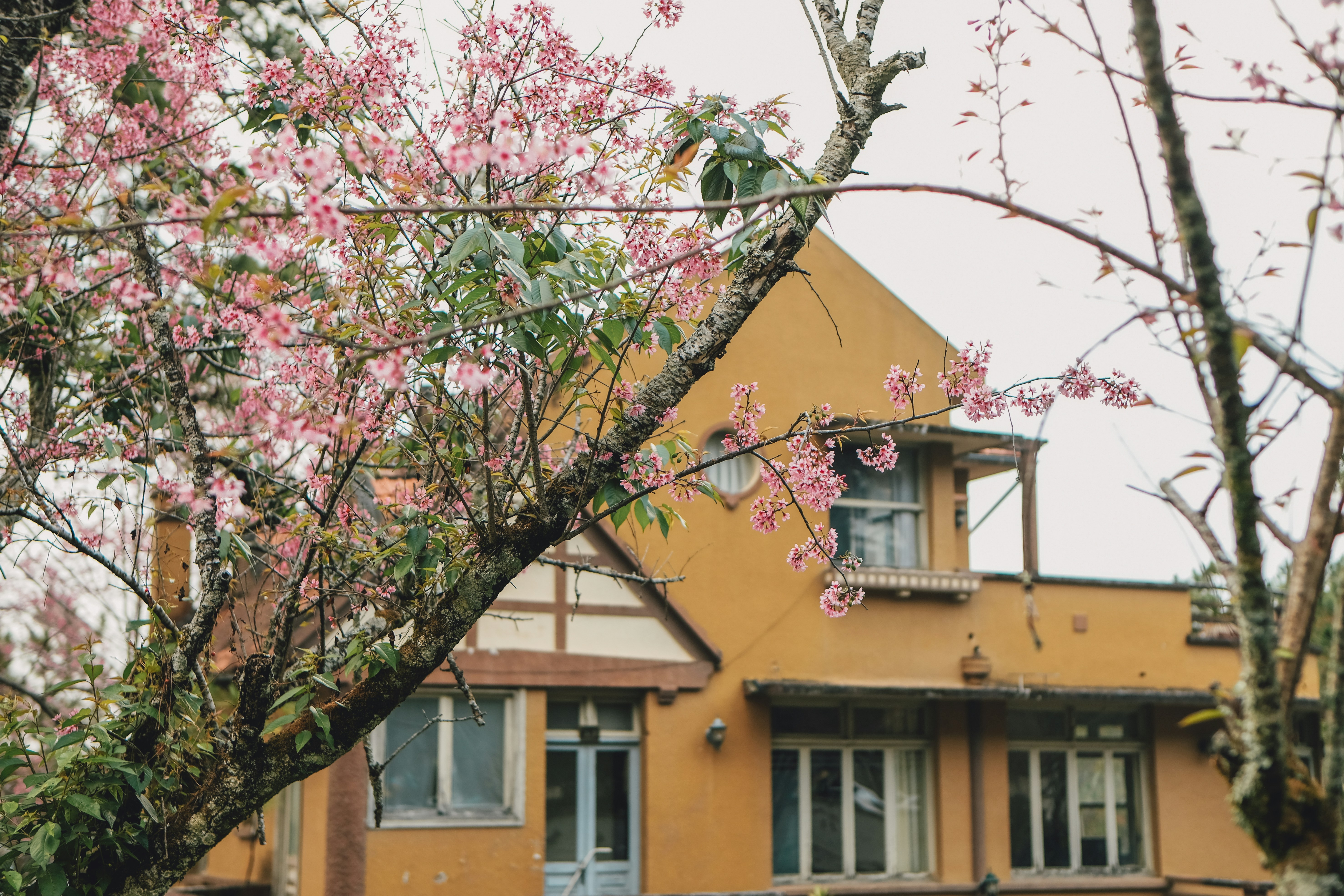 Photo by anniehatuanh