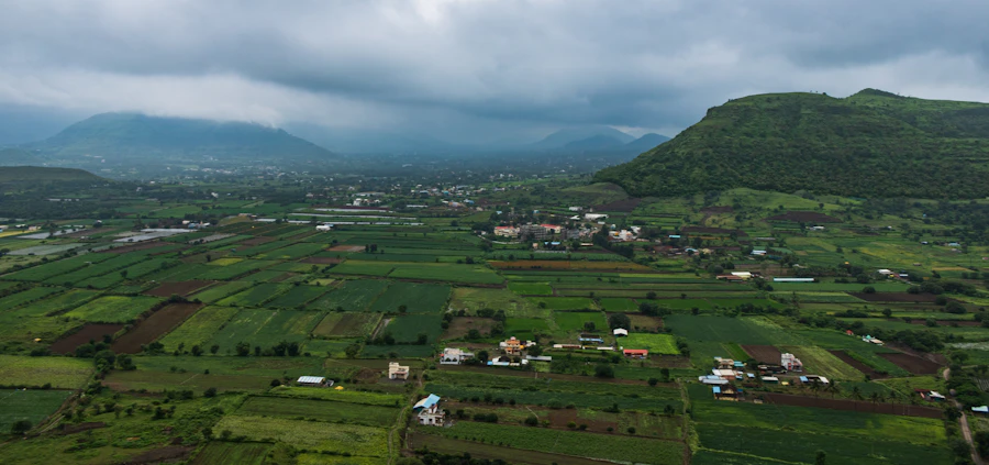 Farmland beneath the mountains at Orchard Stay, early morning