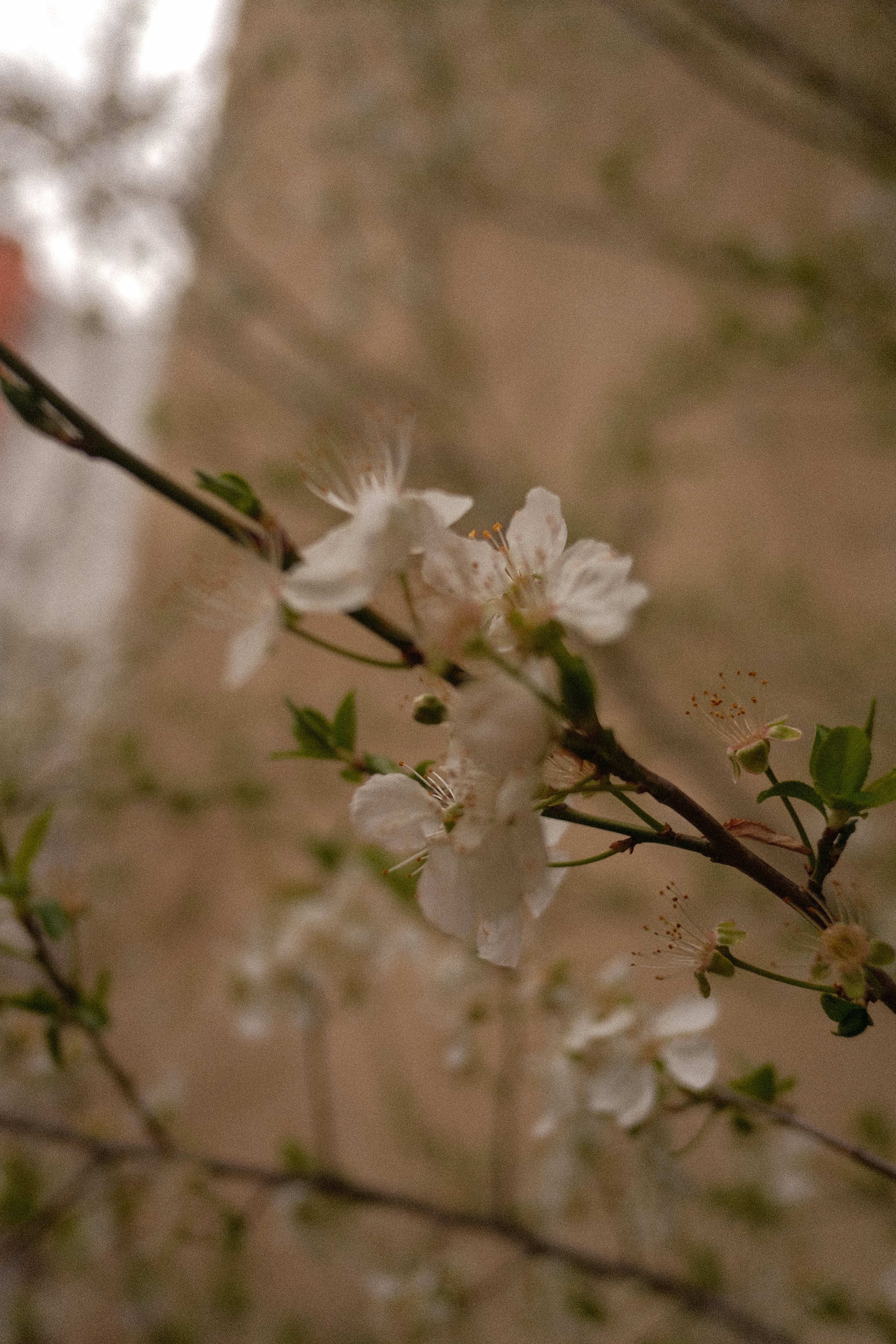 Photo by k_zaidova