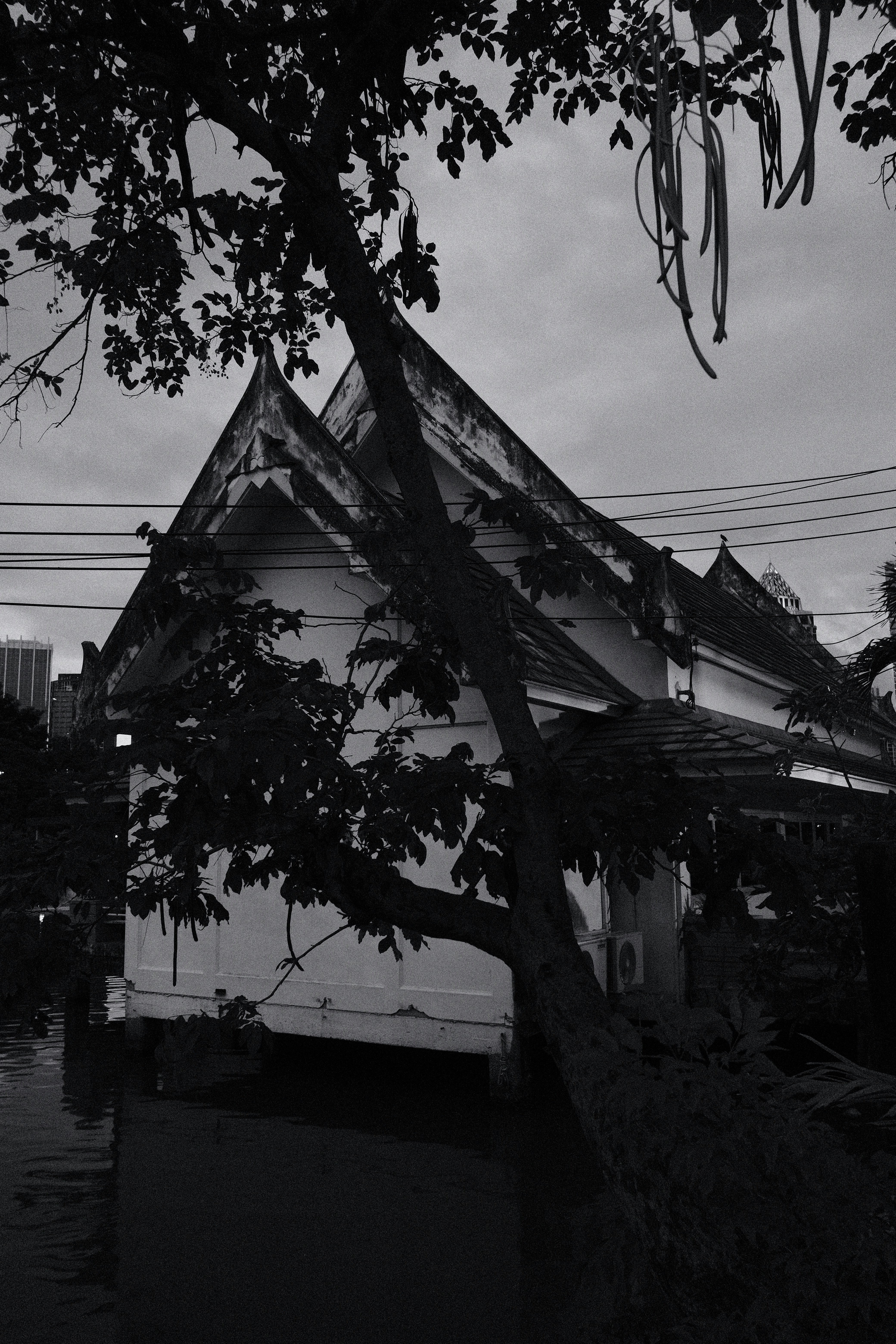 Weißes Gebäude mit prunkvollem Dach in der Nähe von Wasser und Baum.