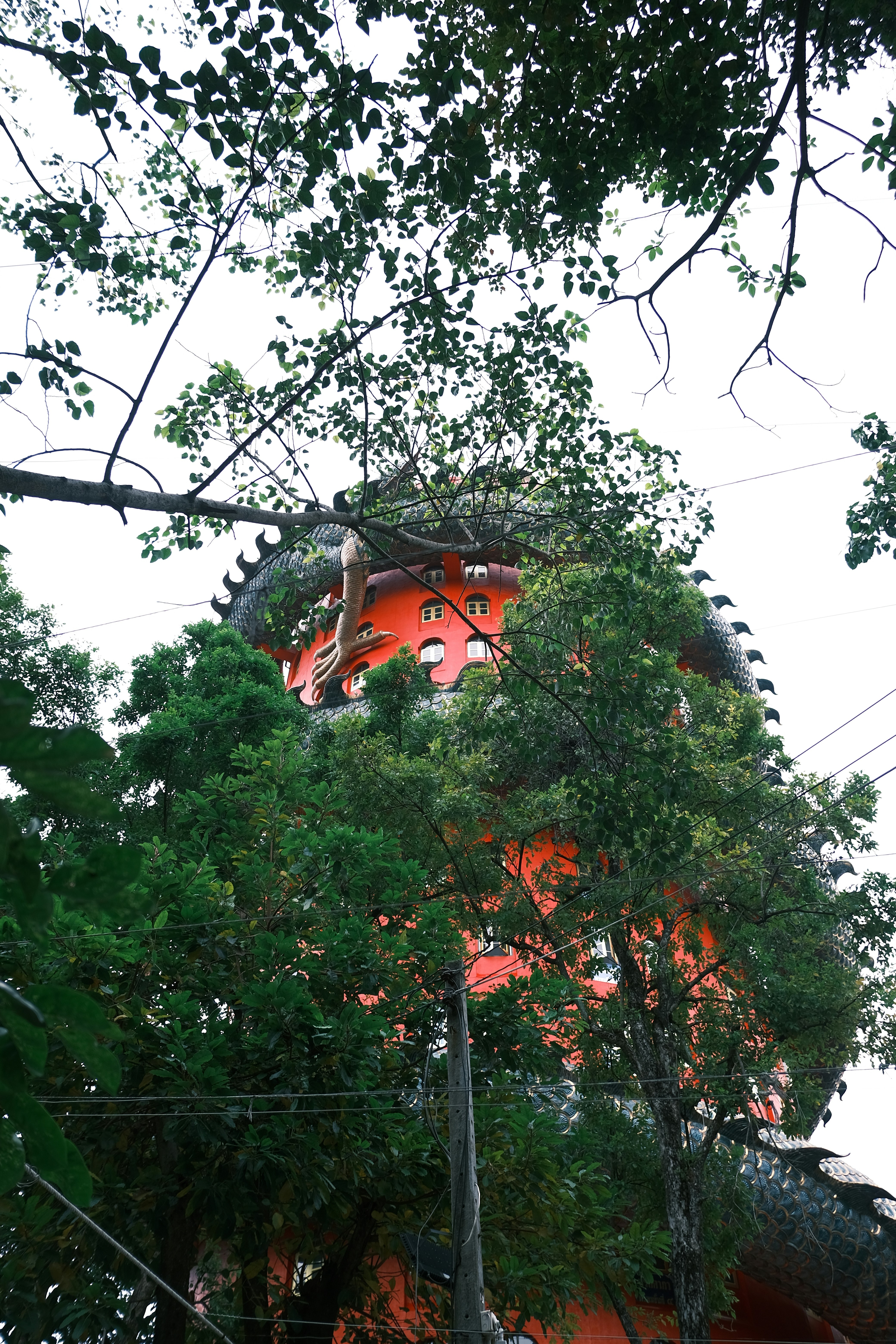Orange building partially hidden by lush green trees