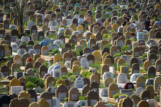 A vast cemetery filled with many tombstones