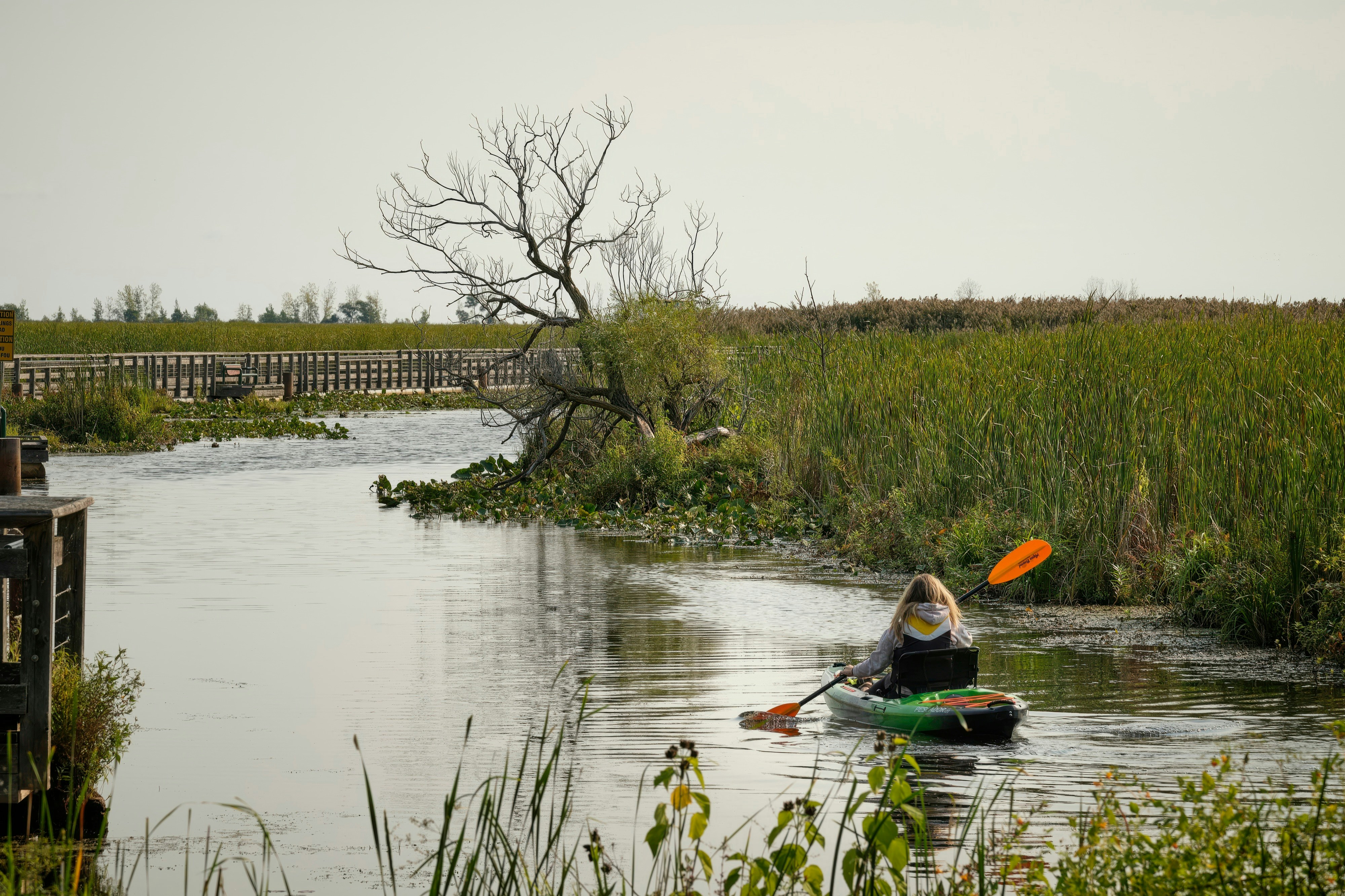 A person kayaks through a calm waterway with reeds.