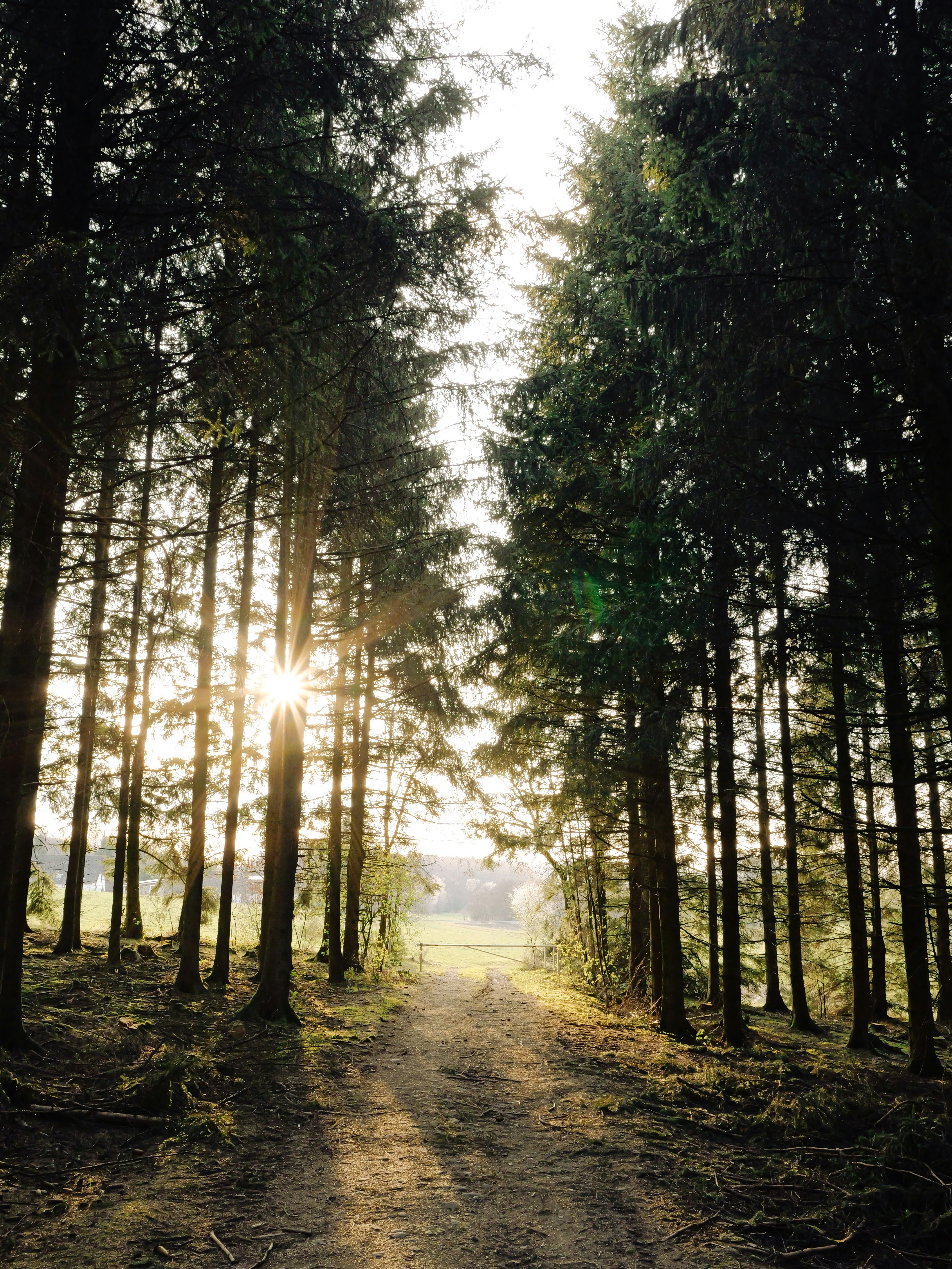 Photo by mft_refuge