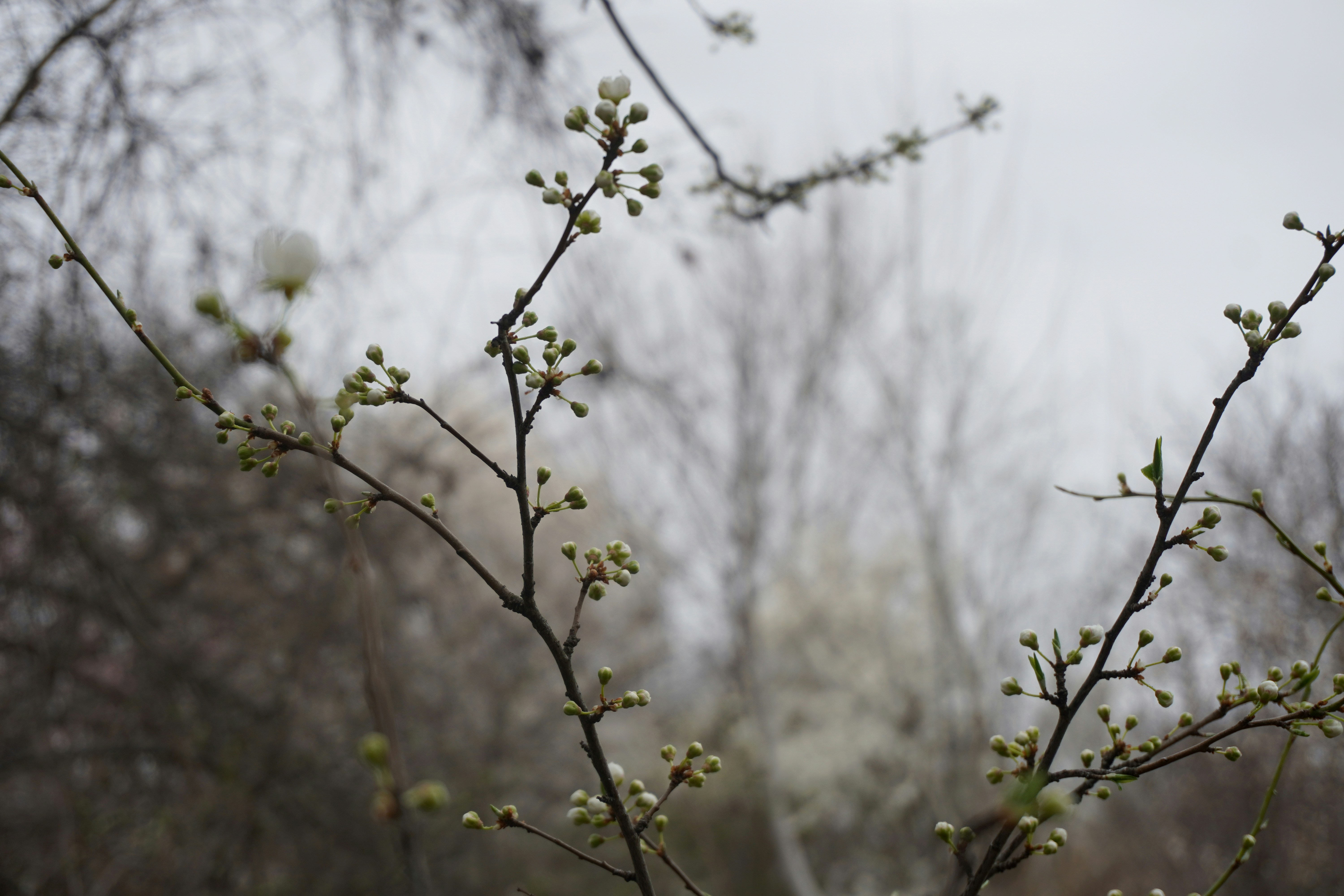 Photo by nelly_shemshenovi