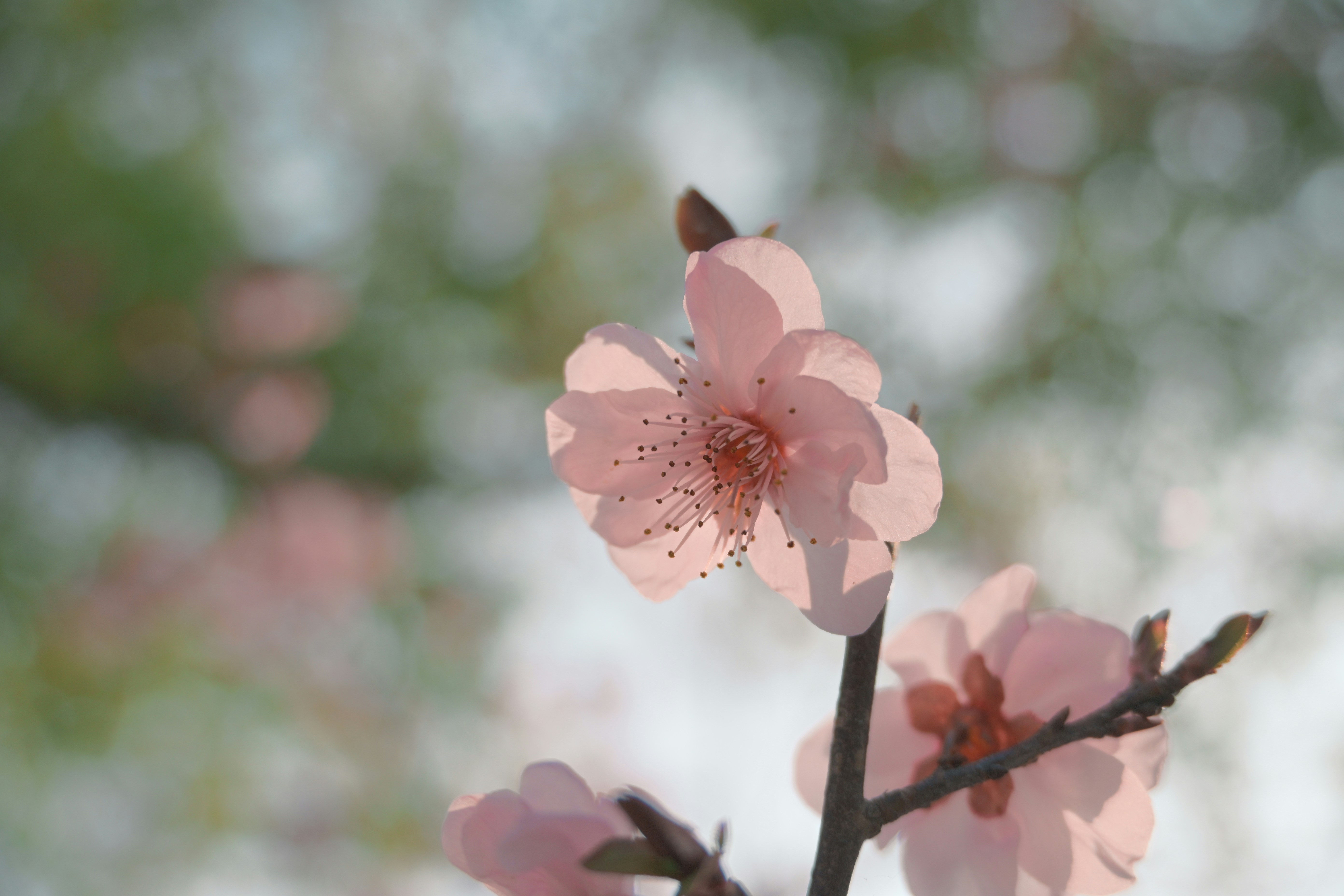 Photo by liutao