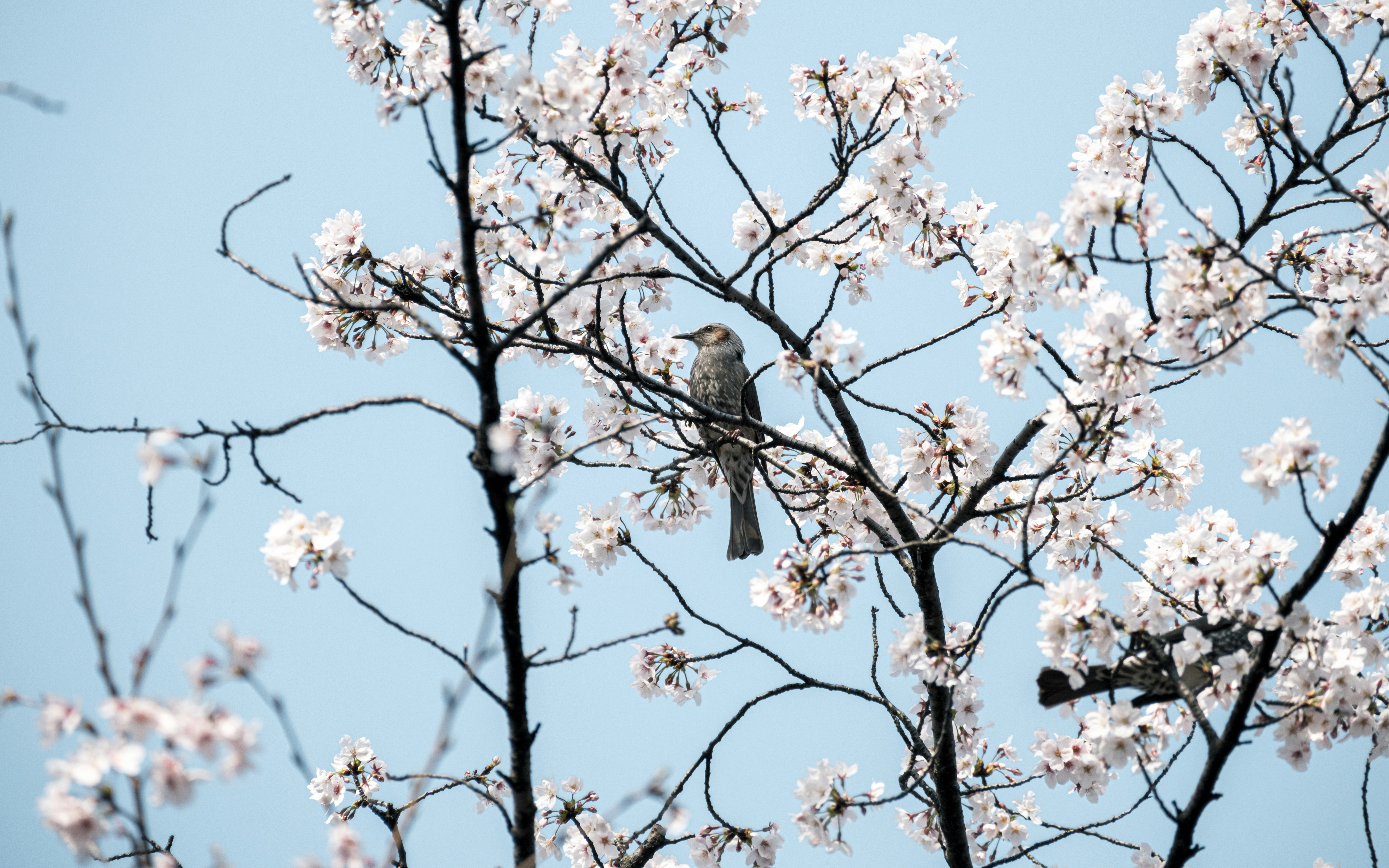 Top Washington LLC Registered Agent Service Reviews for 2024