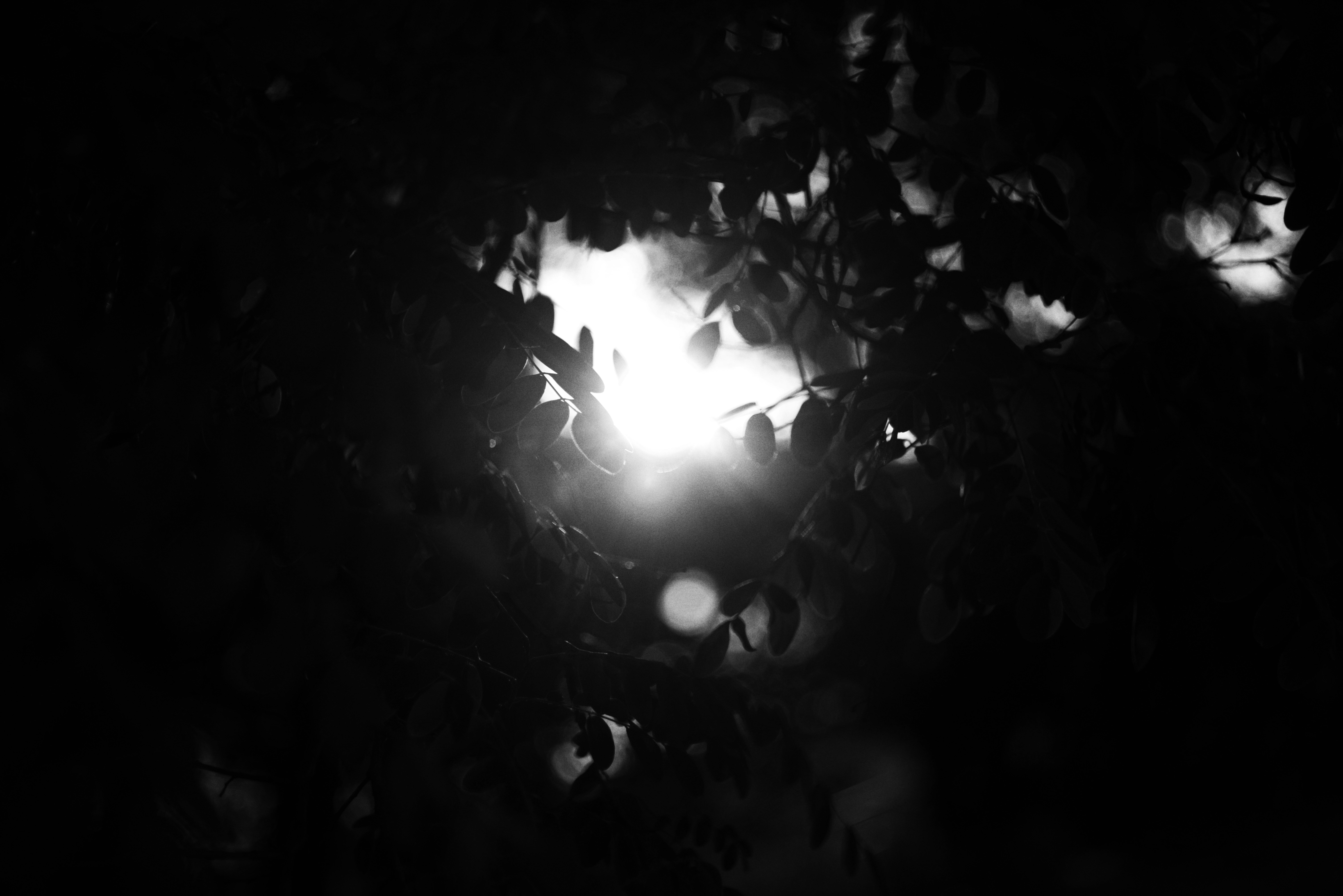 Photo by cherstve_pechivo