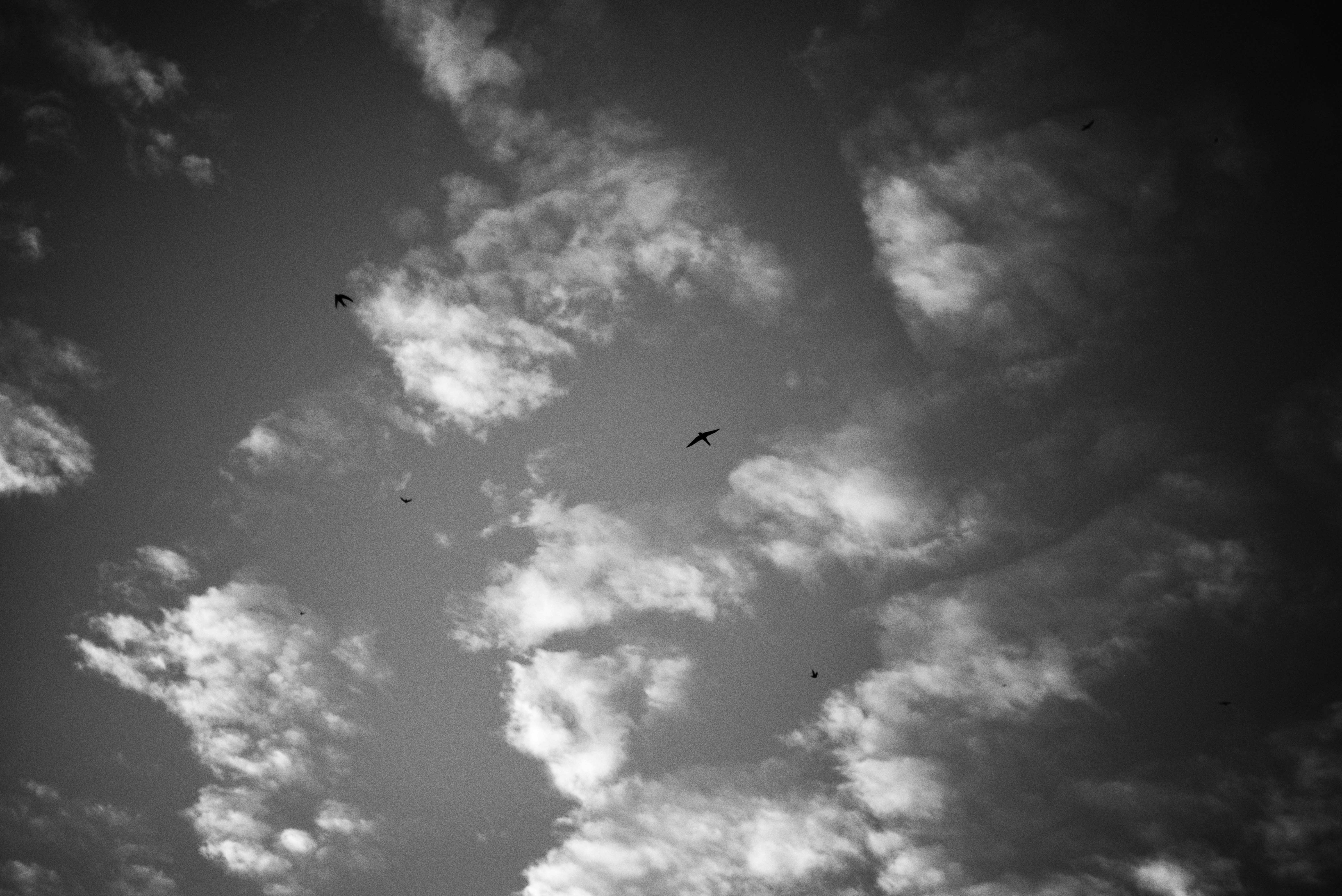 Photo by cherstve_pechivo