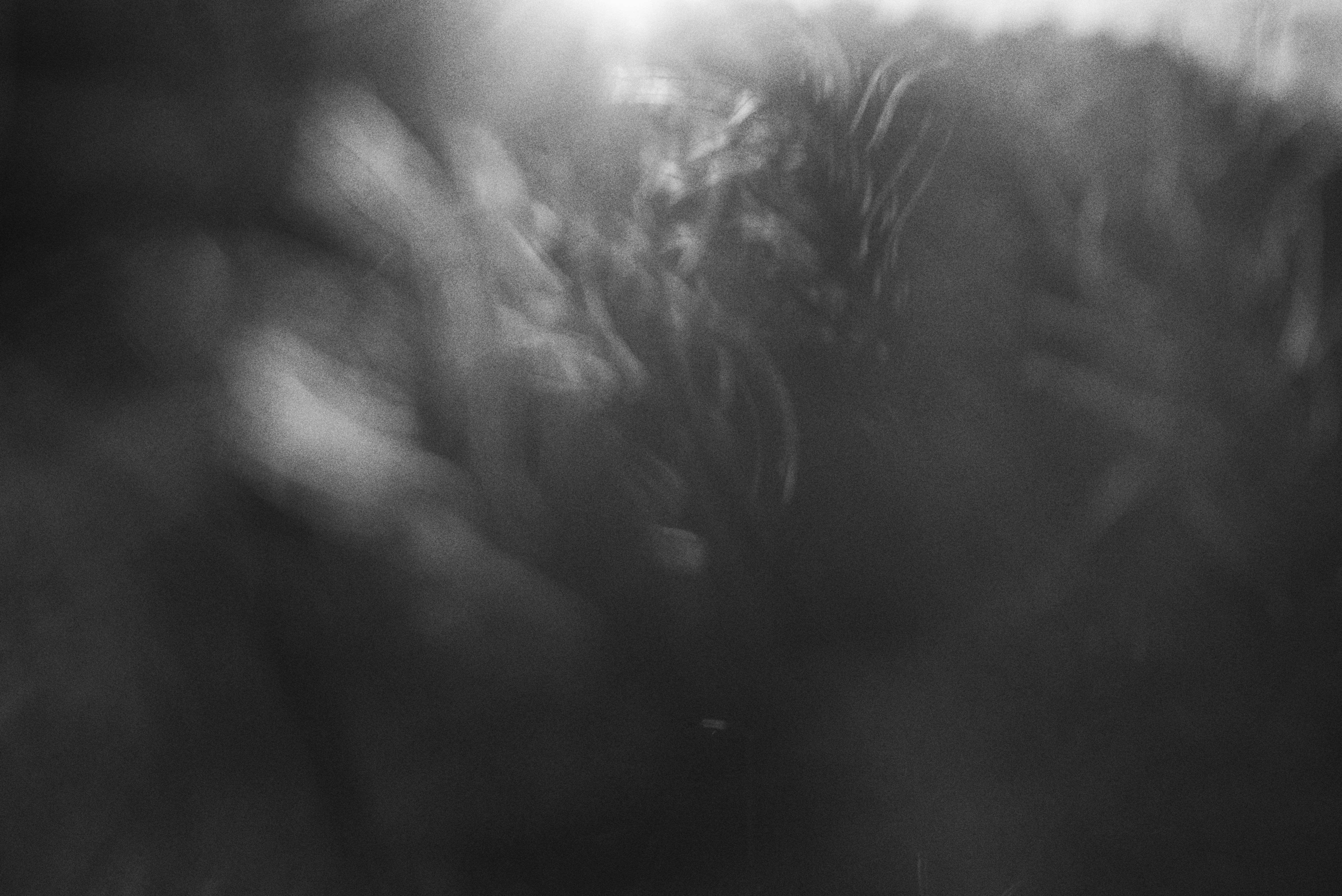 Photo by cherstve_pechivo