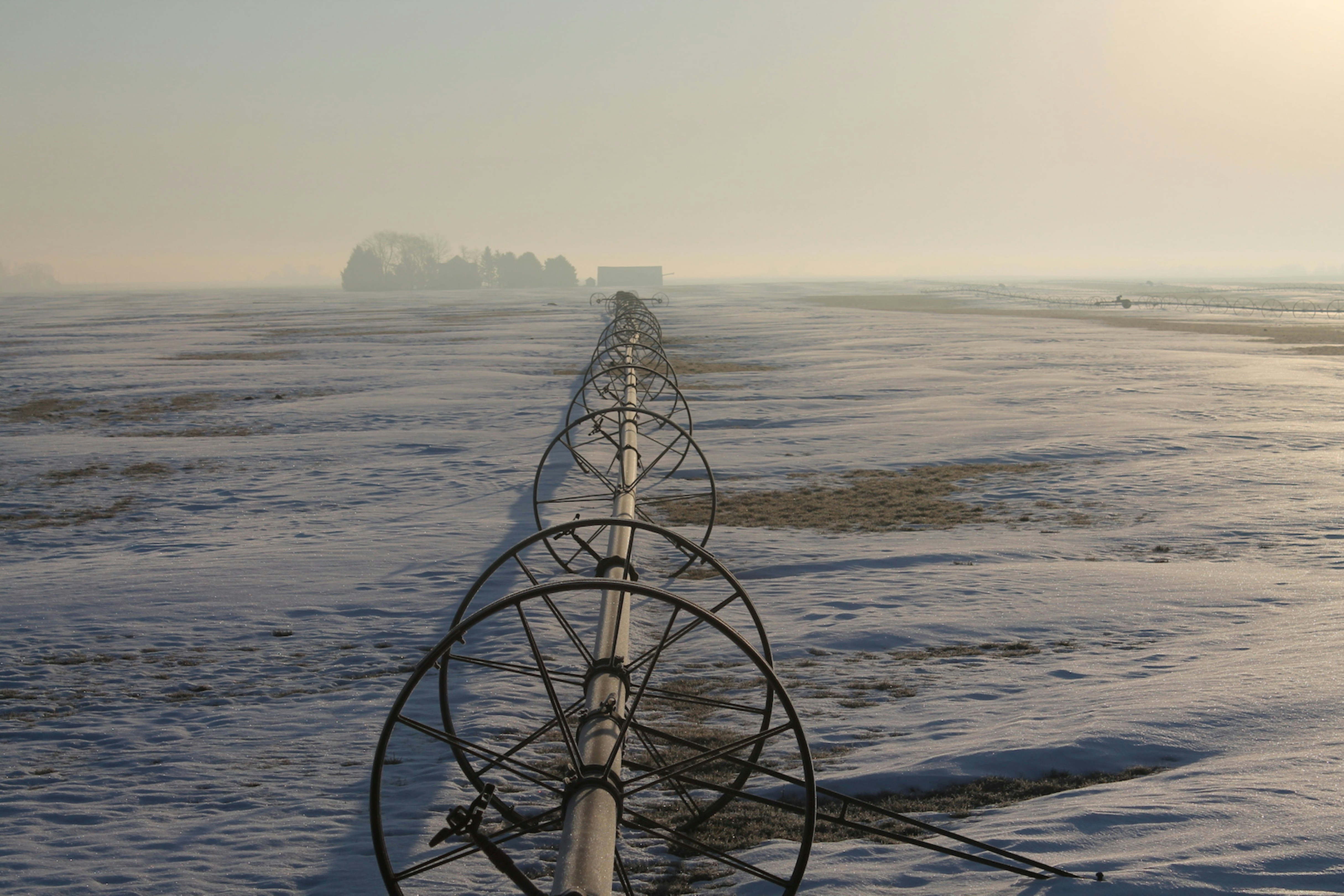 winter irrigation