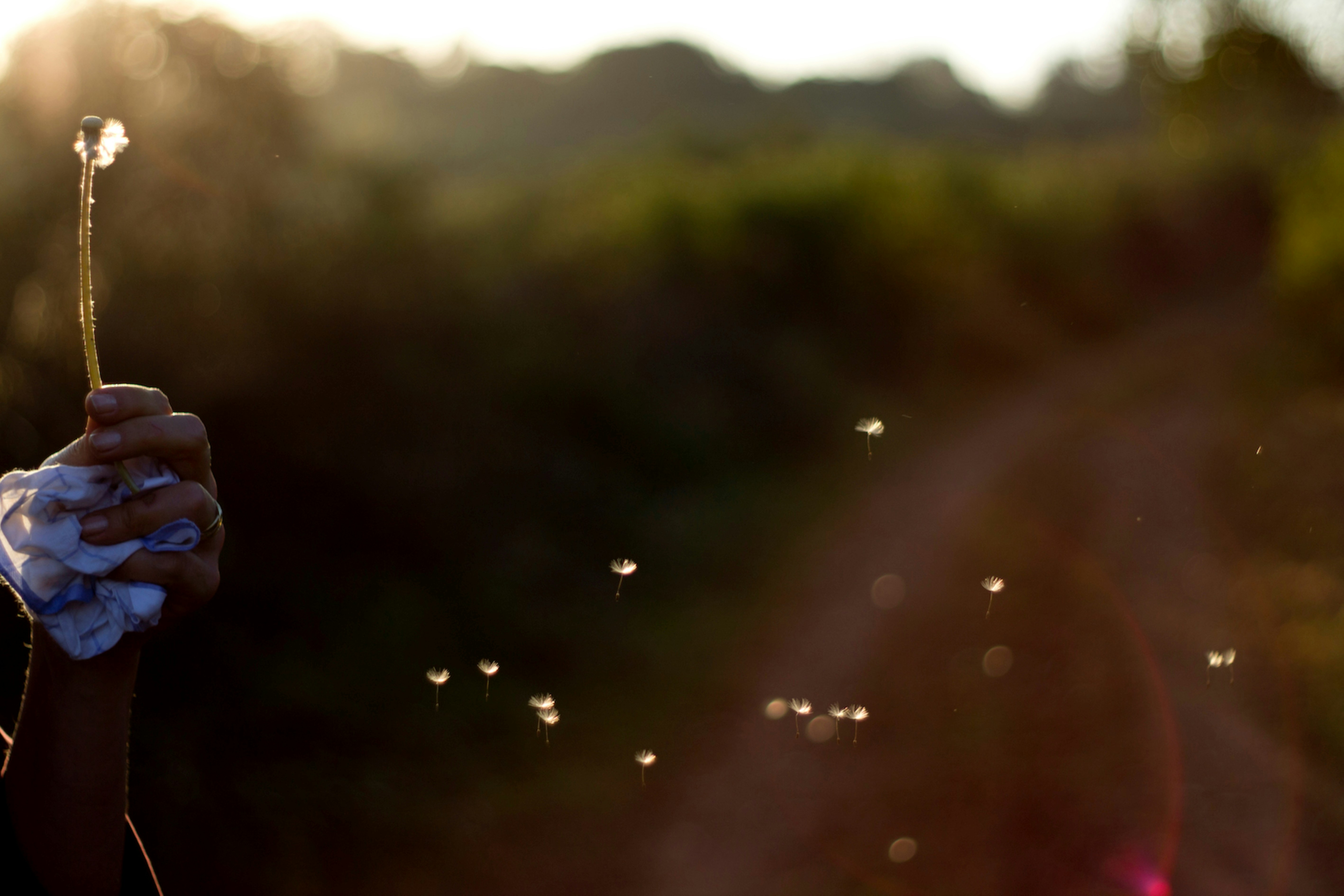 Hand blowing bubbles in golden hour sunlight