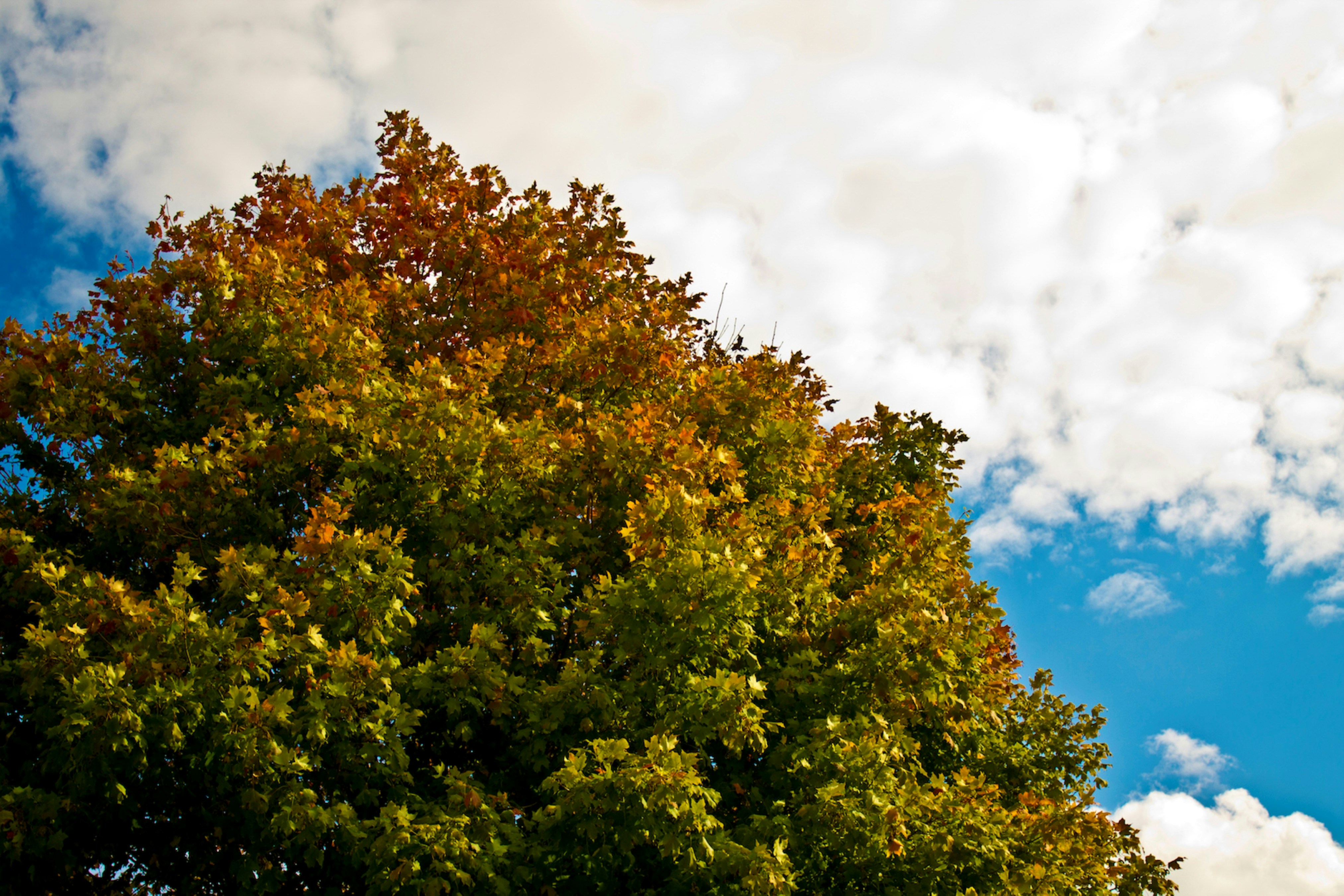 Photo by vivitergovivo