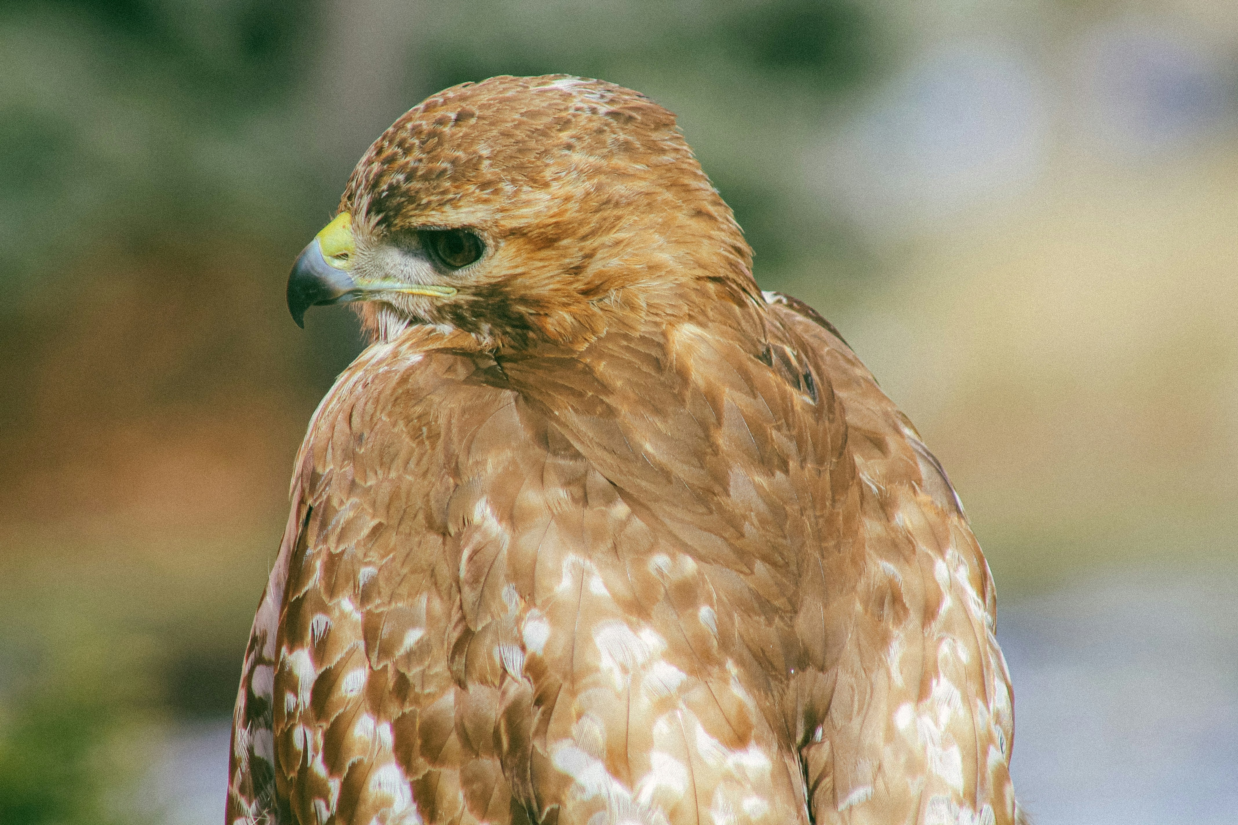 Photo by vivitergovivo