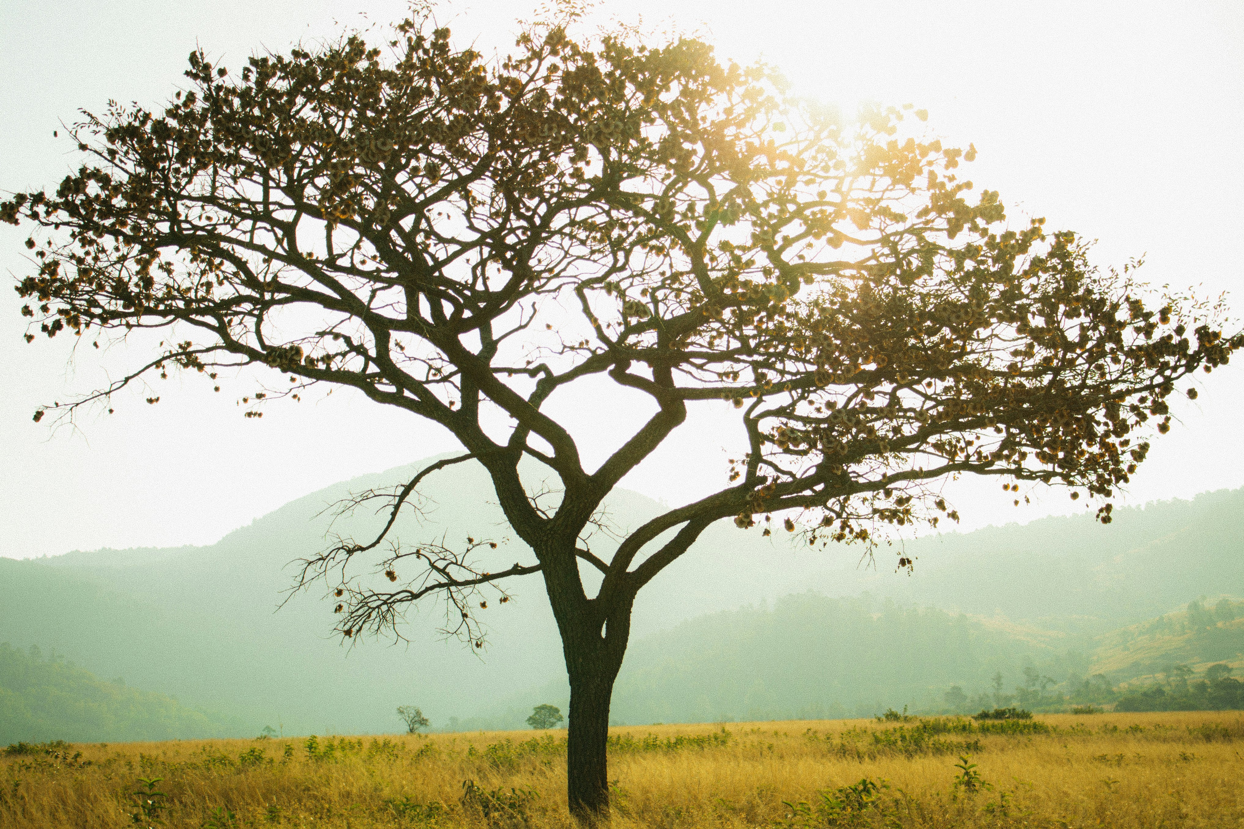 Photo by vivitergovivo