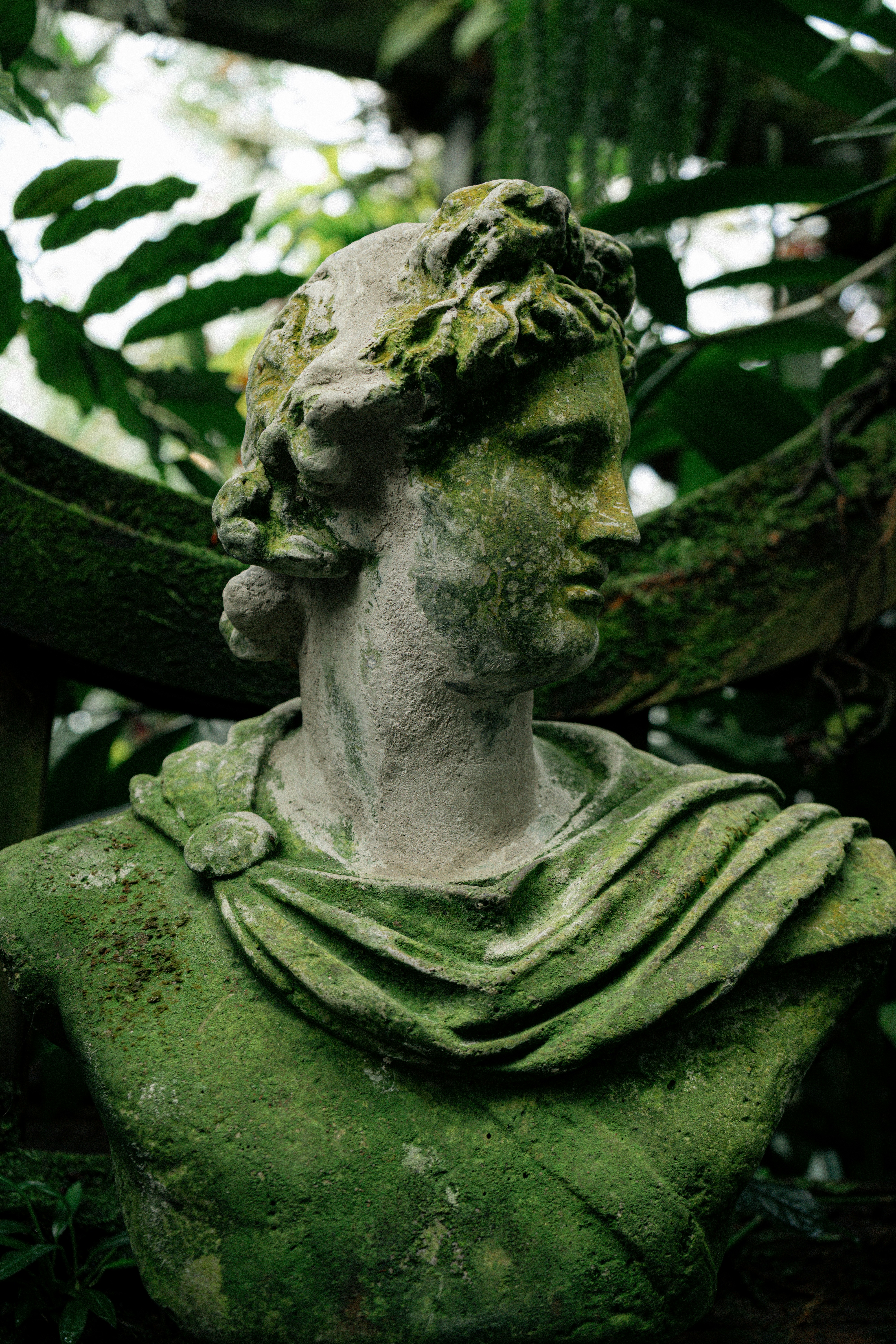 Buste de statues anciennes couvertes de mousse entouré d’une végétation luxuriante.