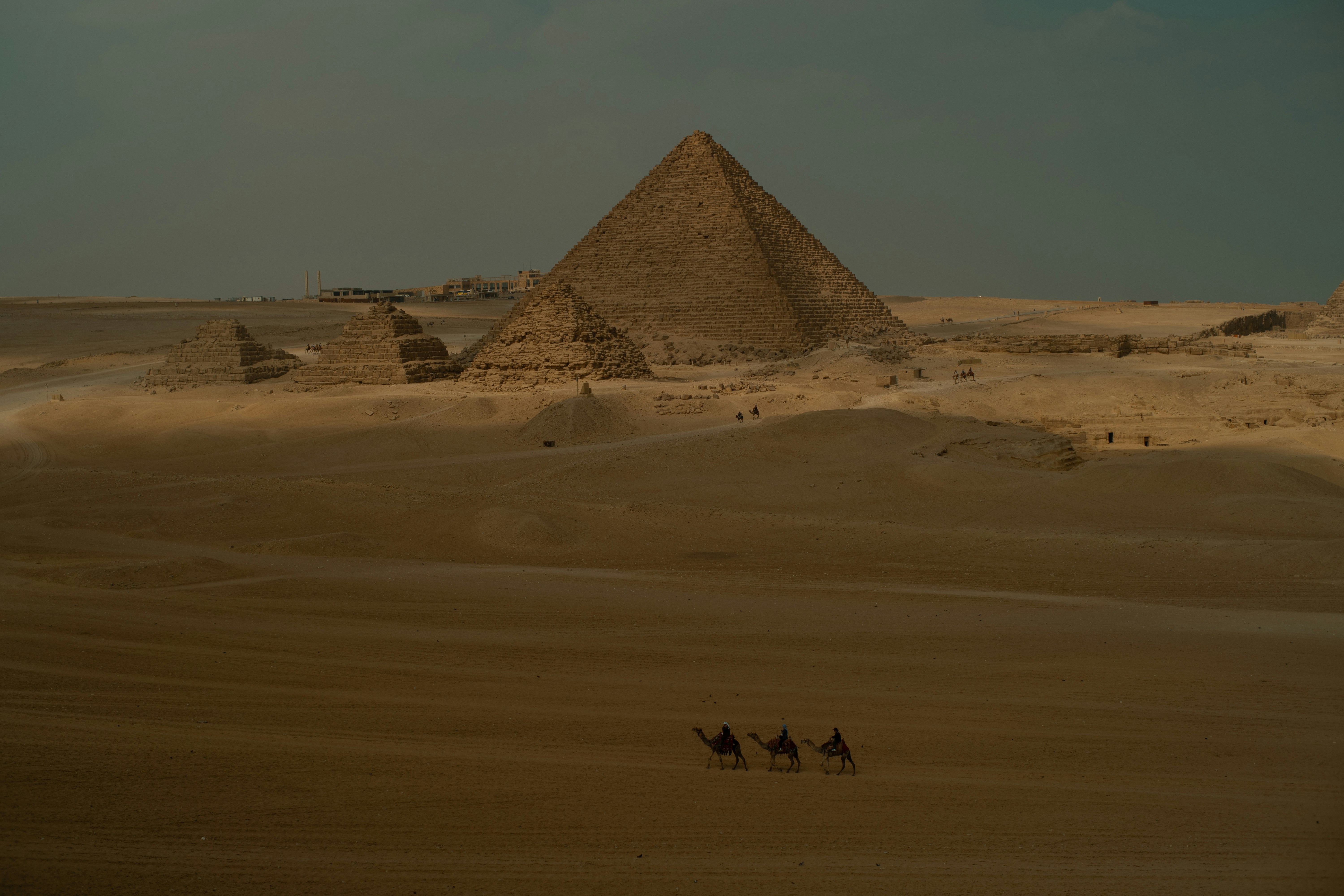 Camels trek across desert towards ancient pyramids.