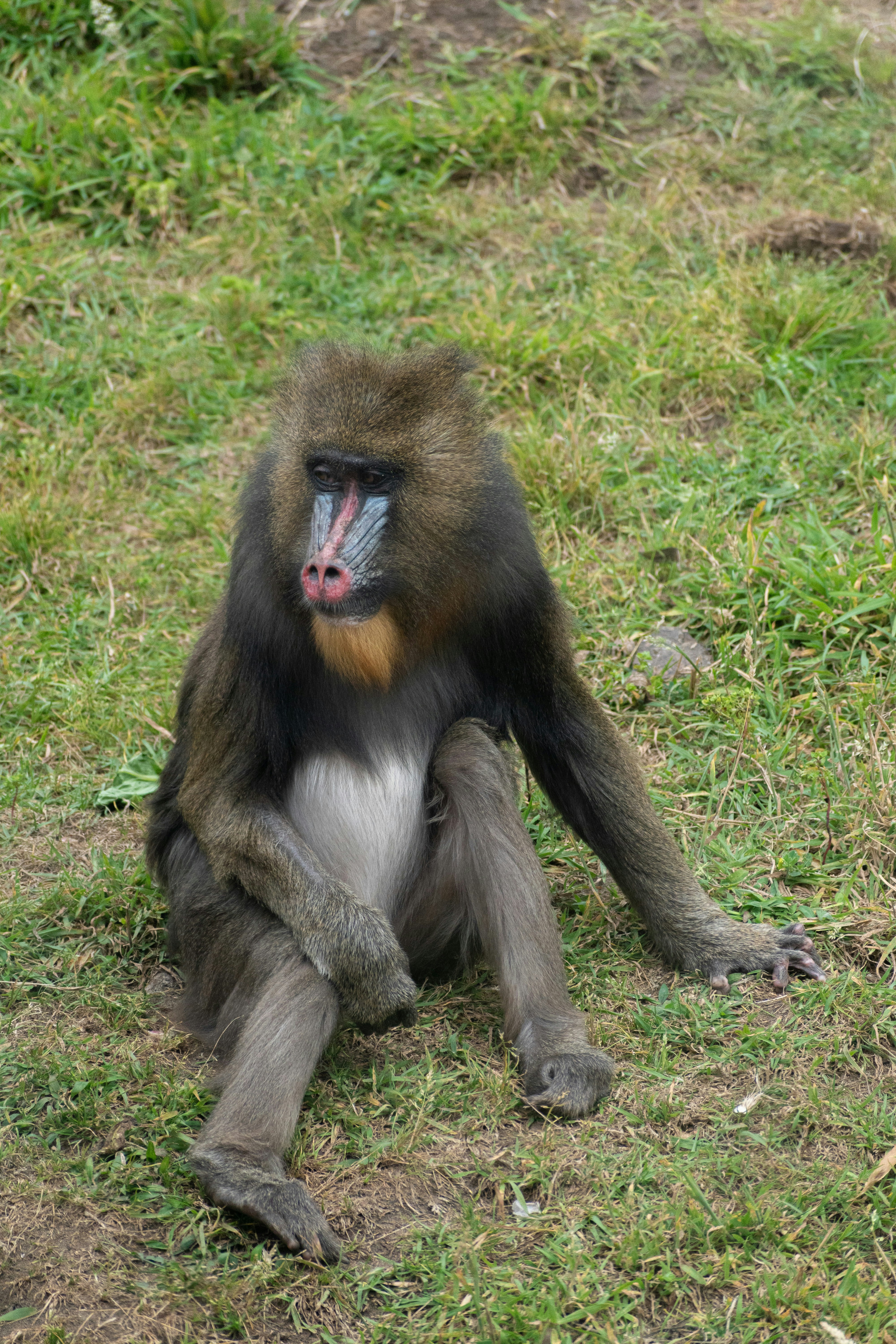 Photo by sebbo_photography