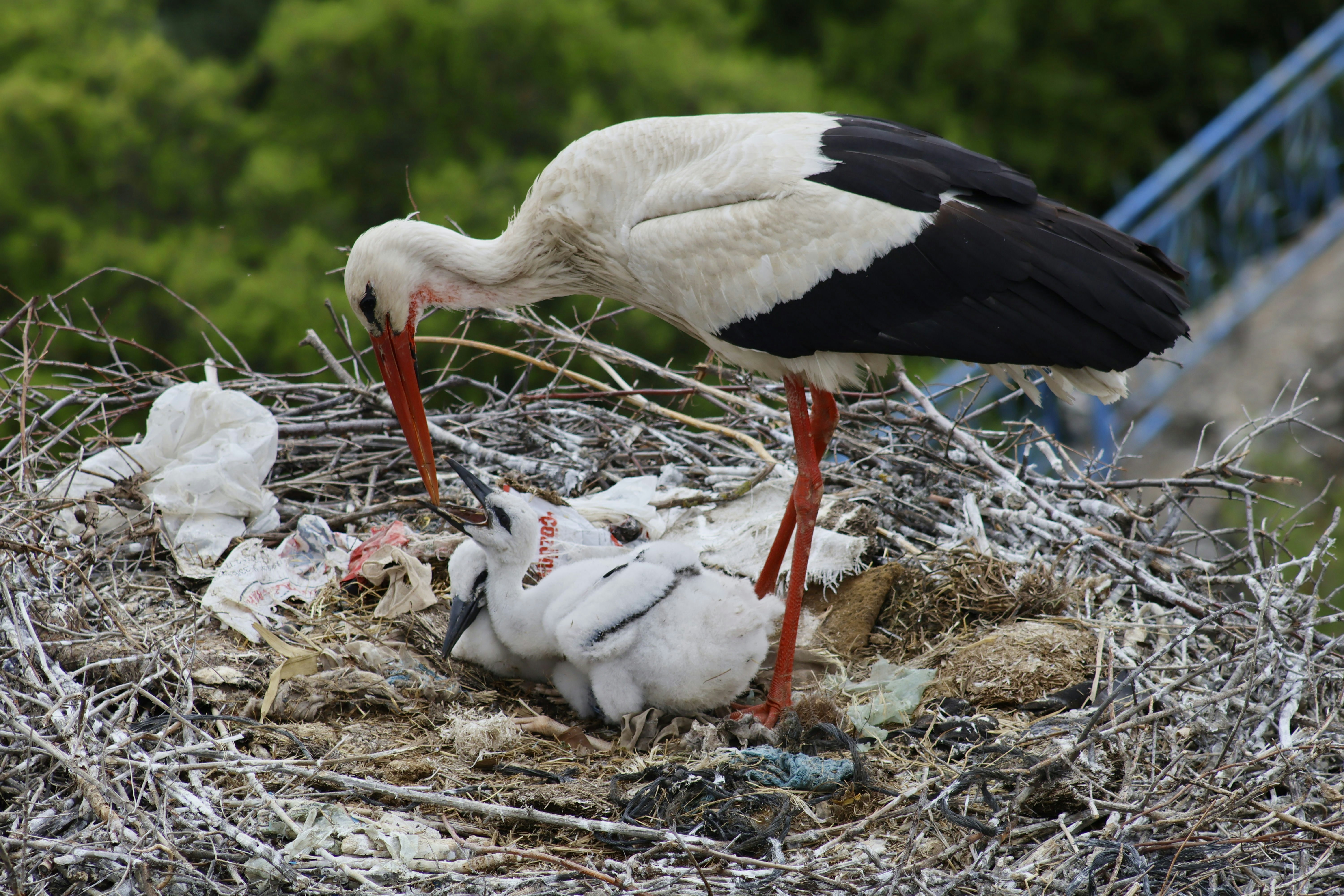 Photo by kaptanmemonun_seyir_defteri