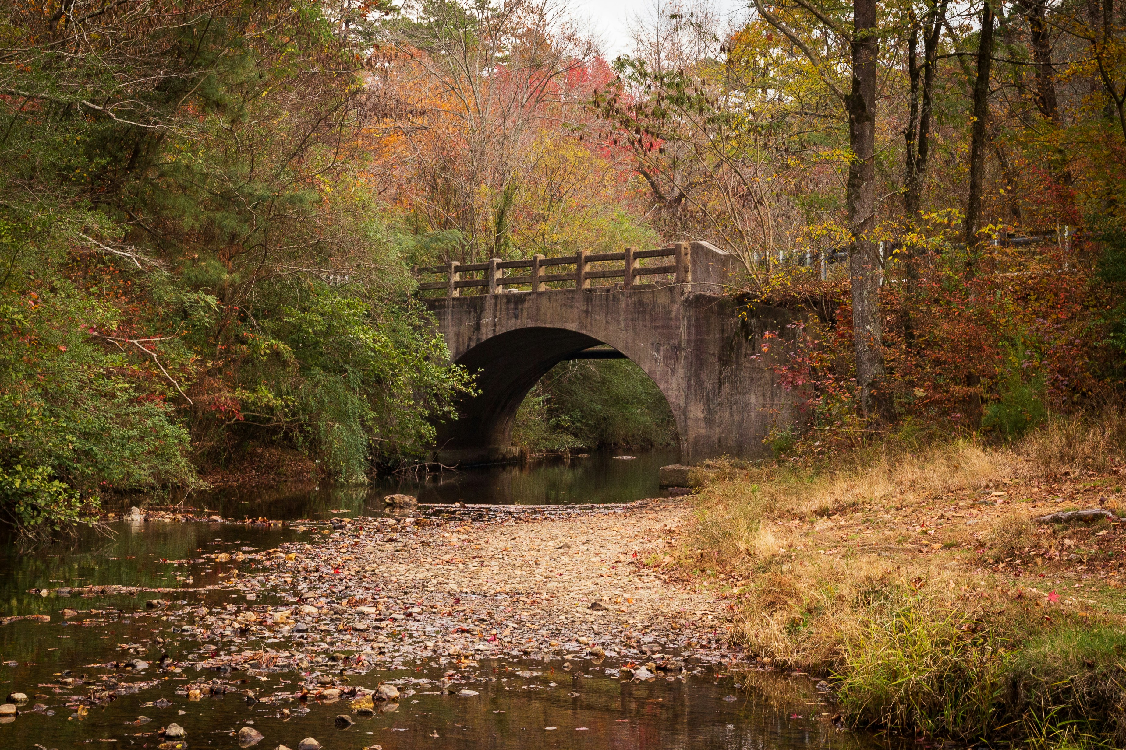 Photo by jdsebolyphoto