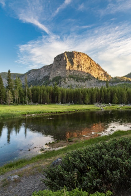Bull elk in snow-covered mountain meadow during late season