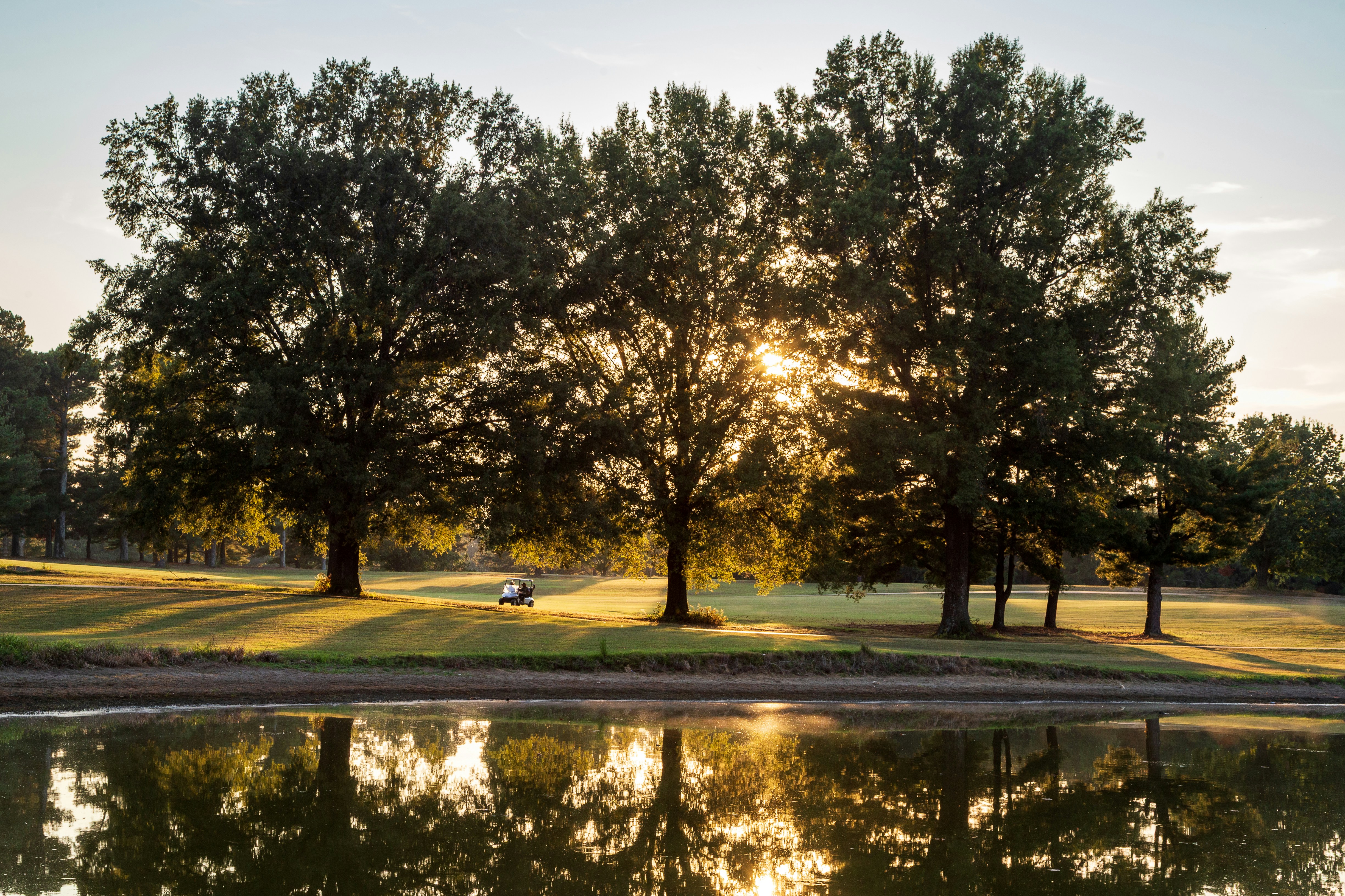 Millington Park