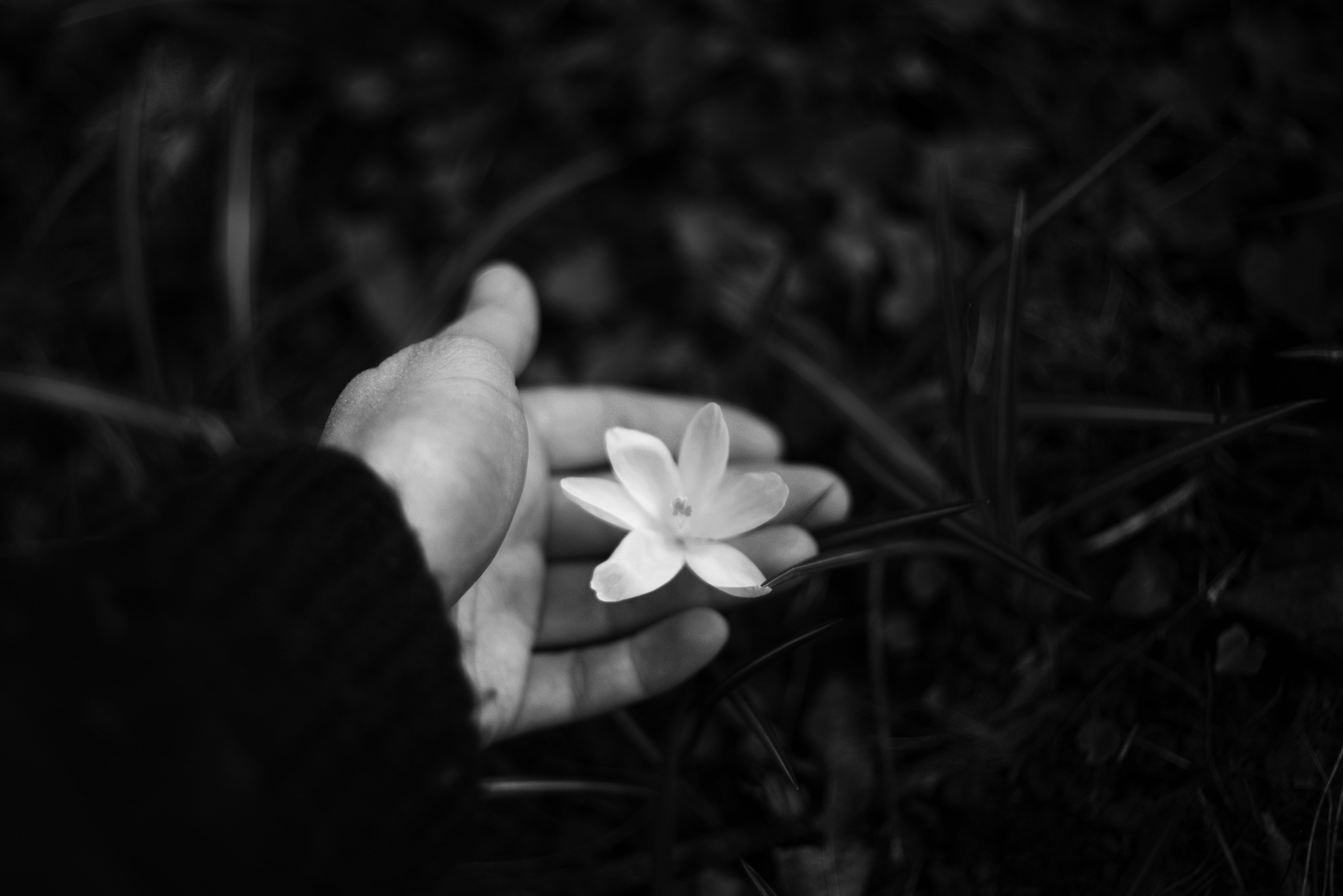 Photo by cherstve_pechivo