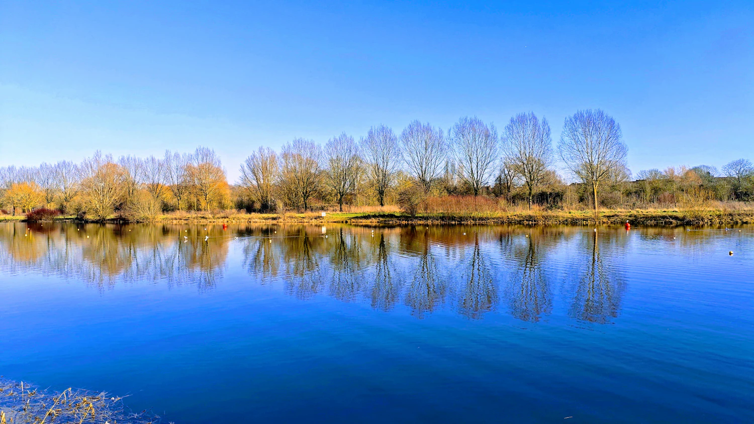A reflection in still water is a natural case for centring, because the symmetry itself is the subject and an off-centre frame would weaken it.