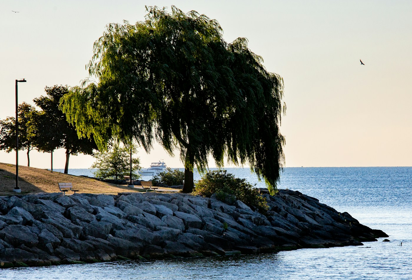 Port Credit, Mississauga