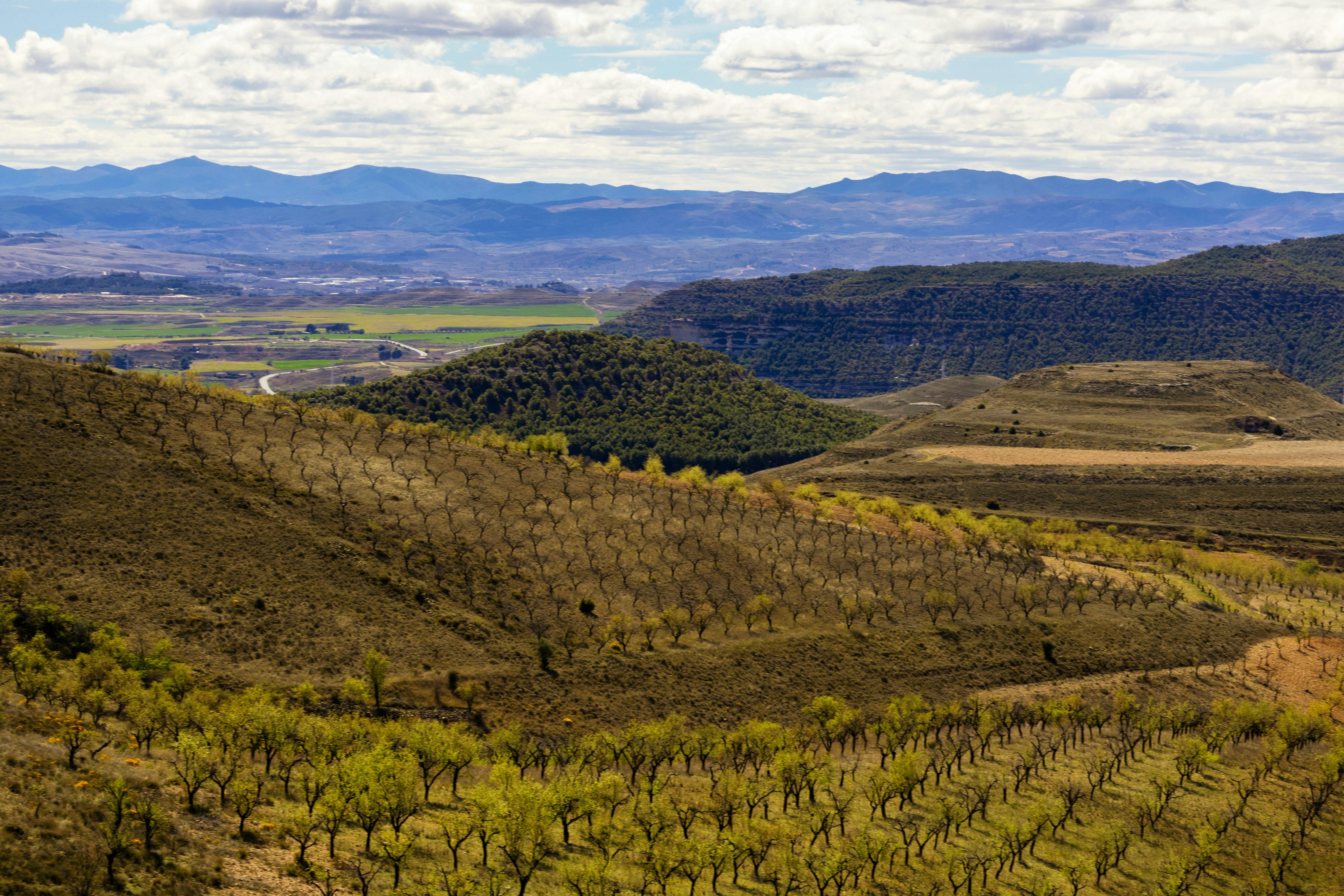 Photo by a_skaldsson