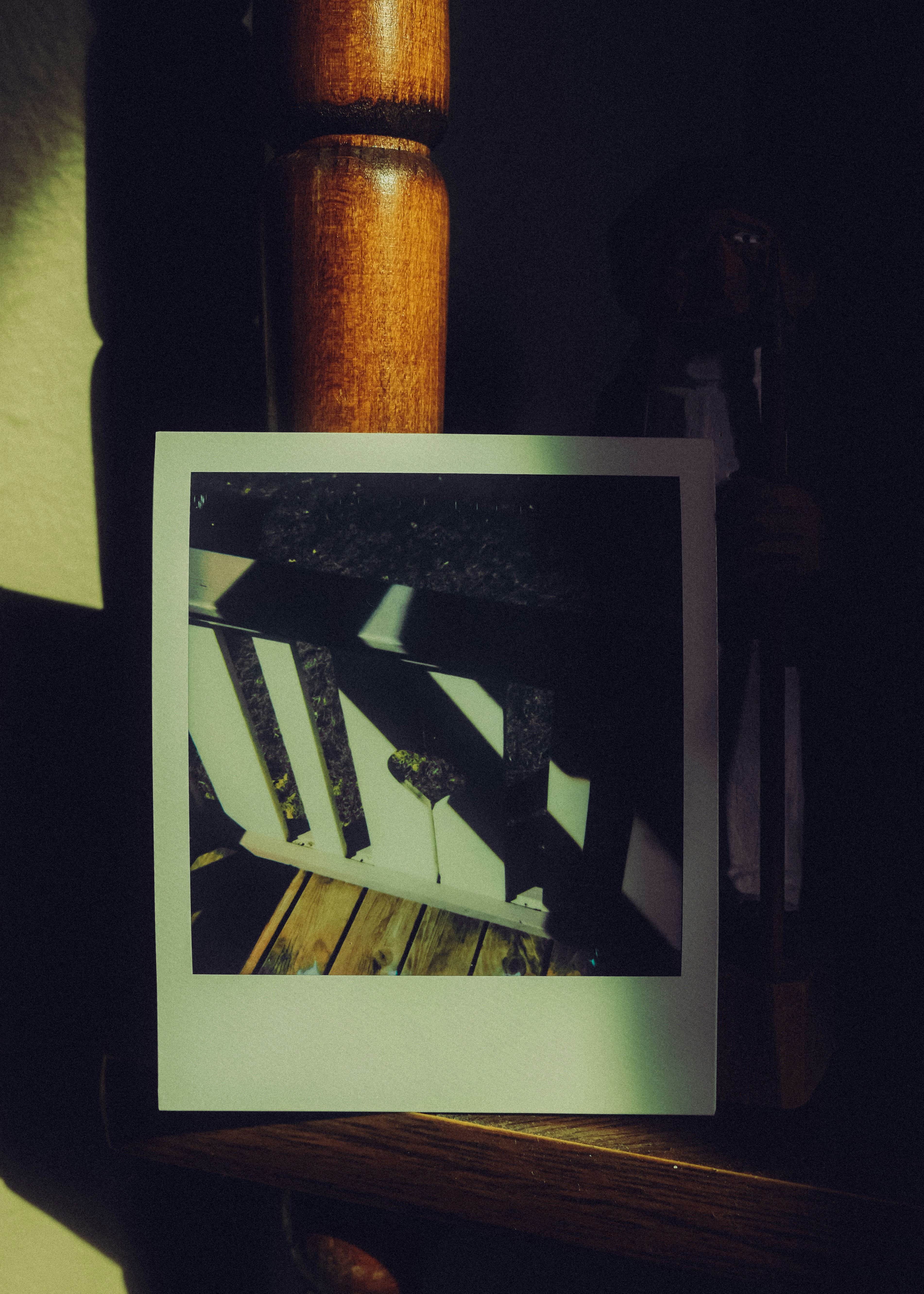 Polaroid of a bird on a railing in sunlight.